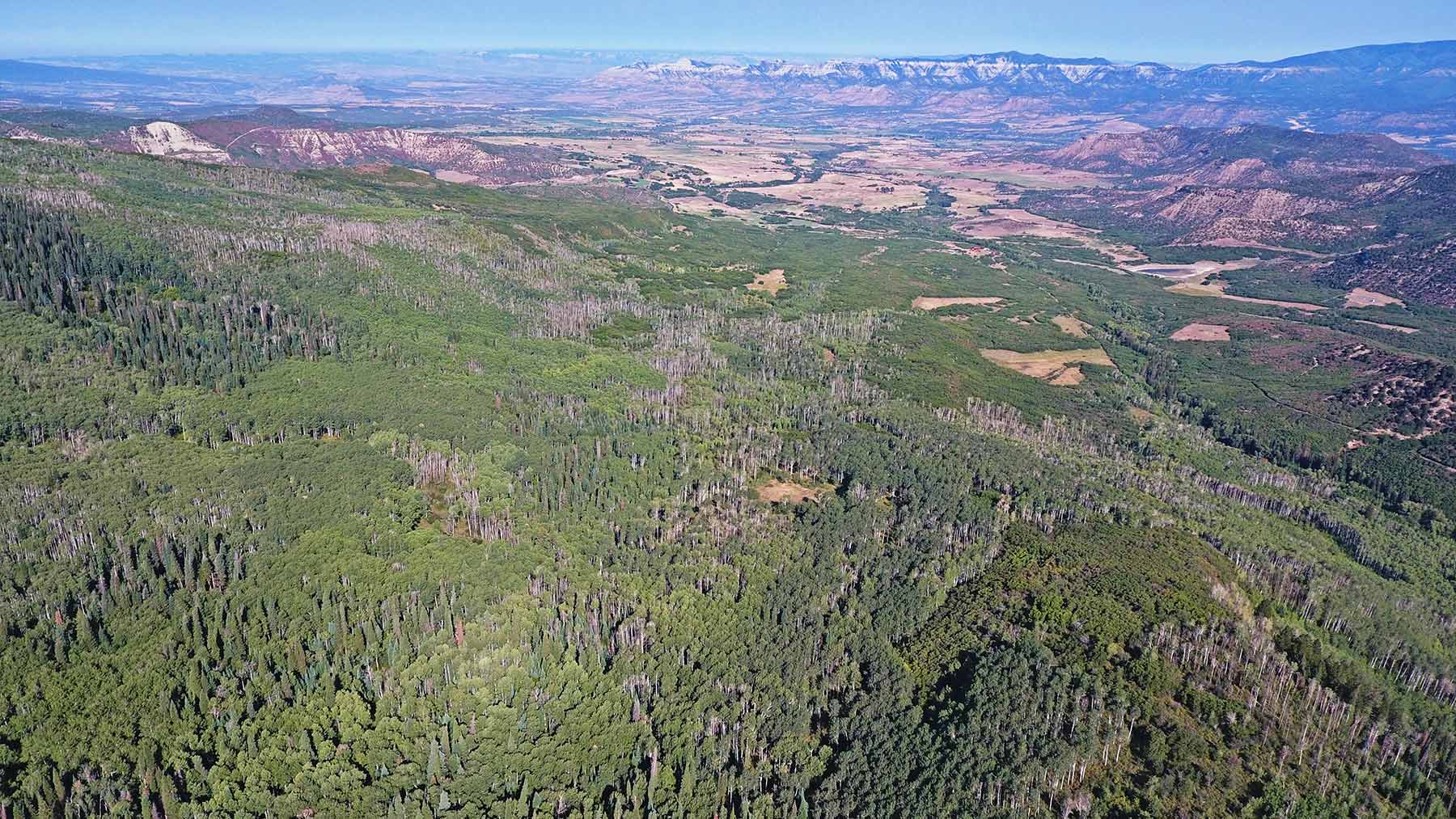 Grove Creek Ranch property picture 41 of 48