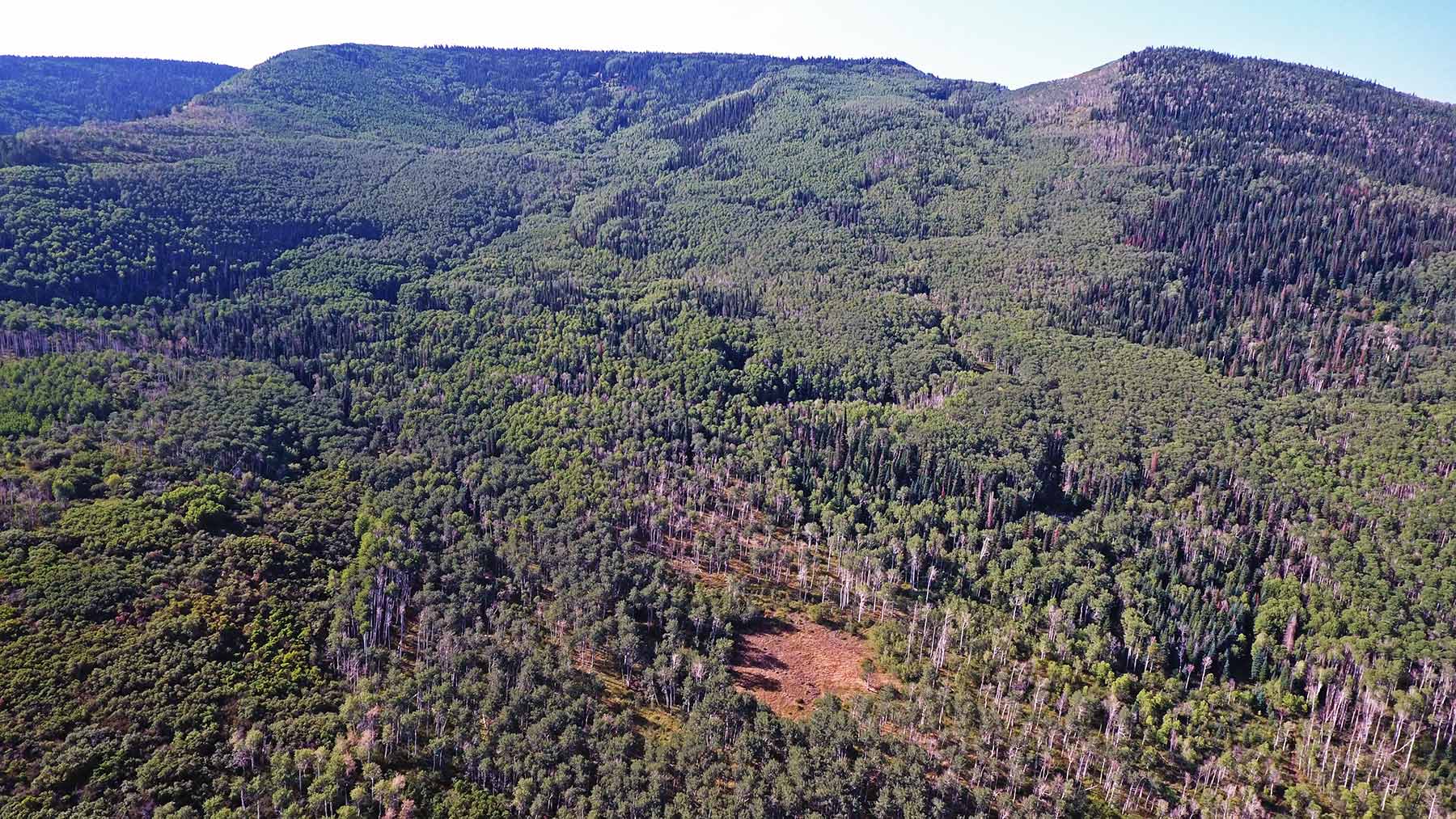 Grove Creek Ranch property picture 28 of 48