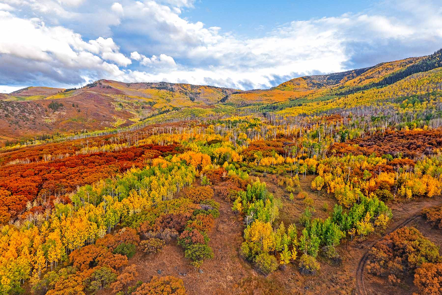 Grove Creek Ranch property picture 7 of 48