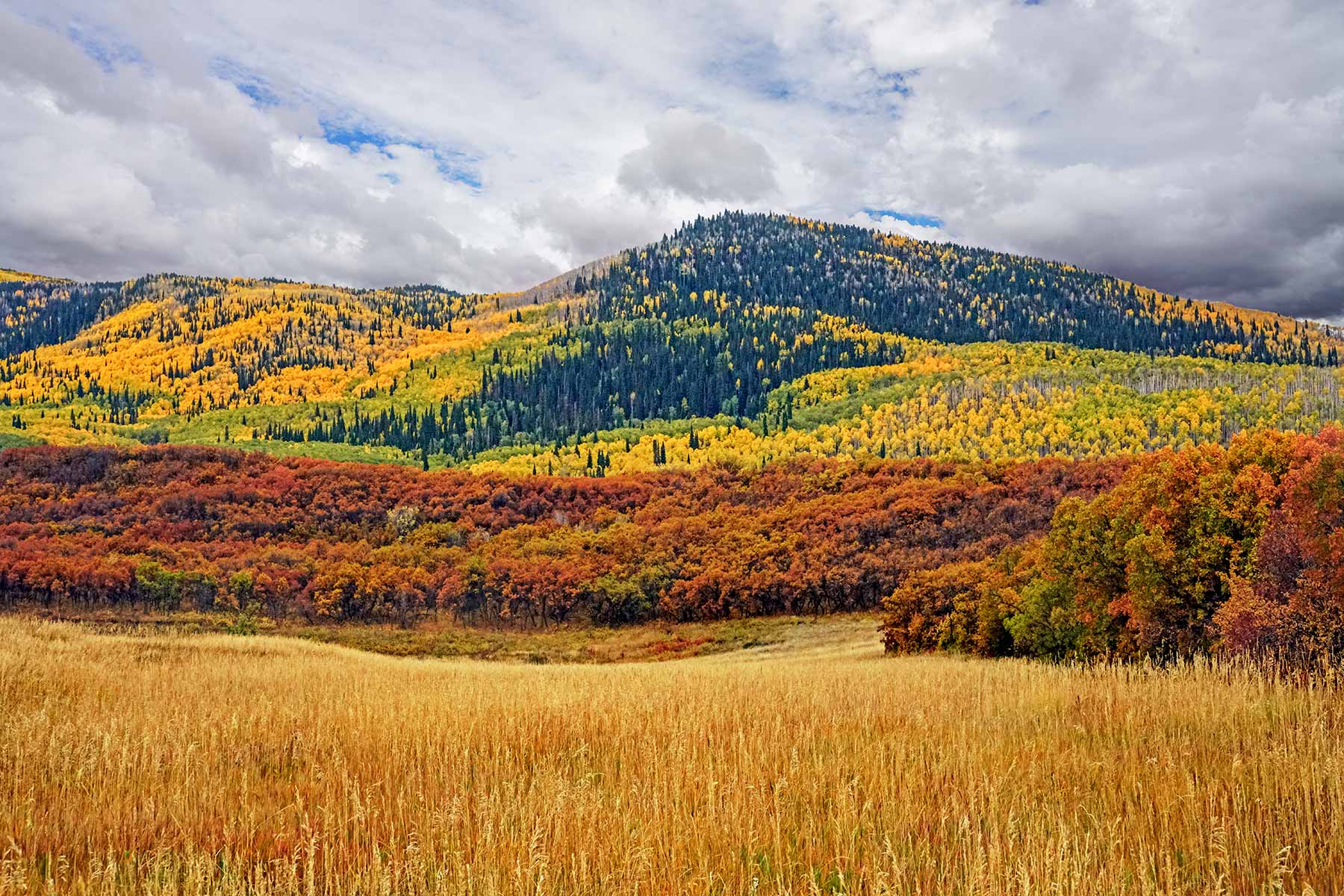 Grove Creek Ranch property picture 2 of 48