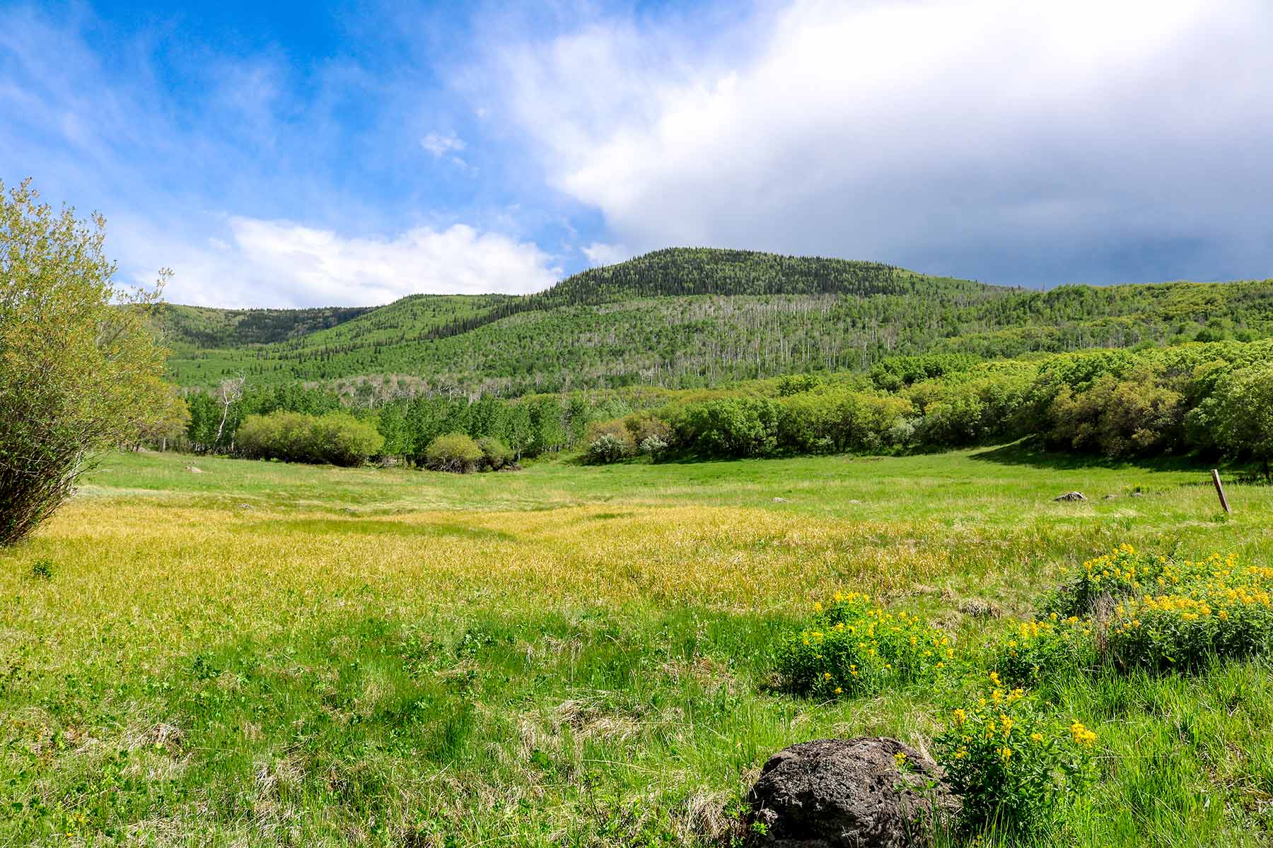 Grove Creek Ranch property picture 46 of 48