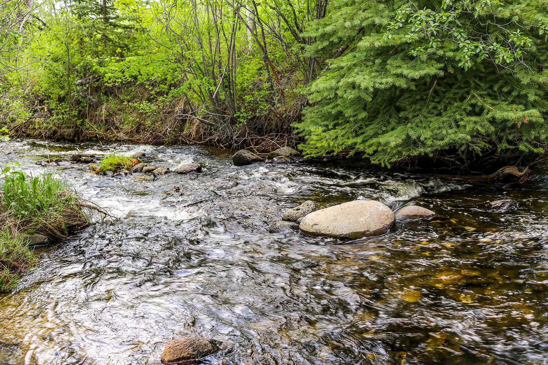 Grove Creek Ranch property picture 19 of 48