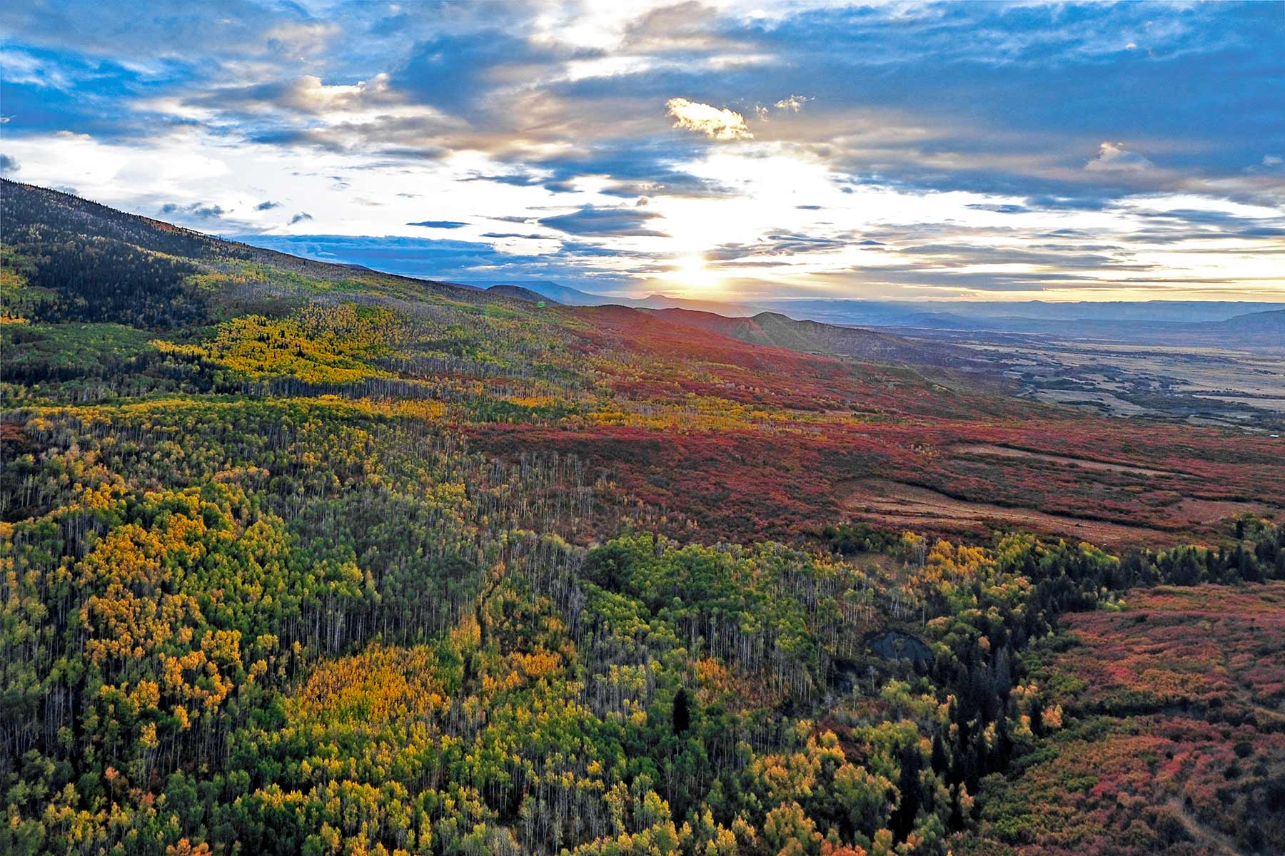 Grove Creek Ranch property picture 5 of 48