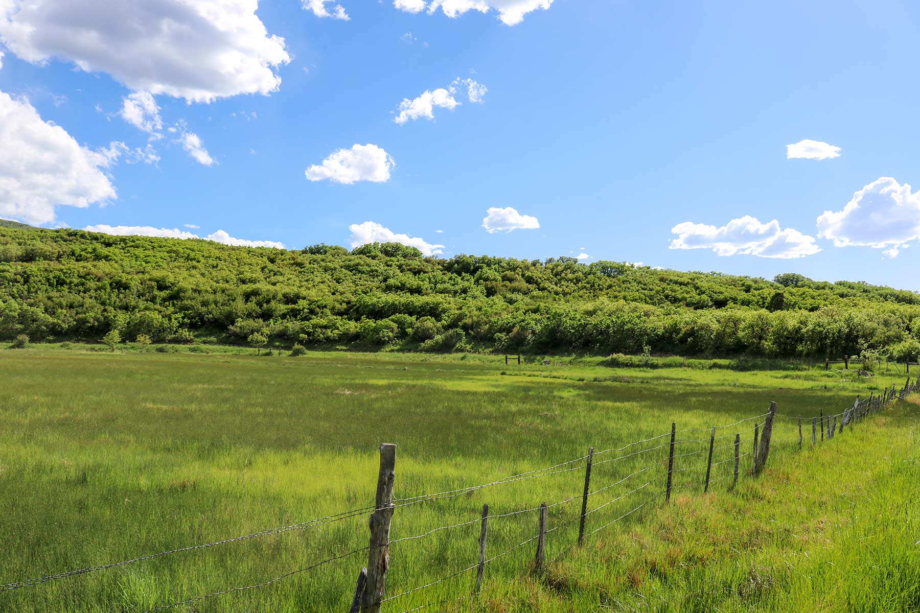 Grove Creek Ranch property picture 43 of 48