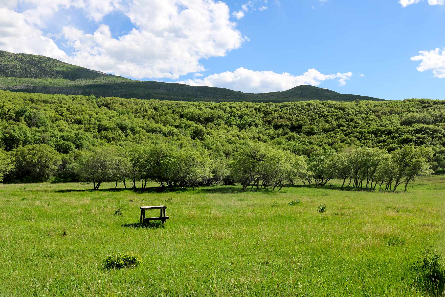 Grove Creek Ranch property picture 42 of 48