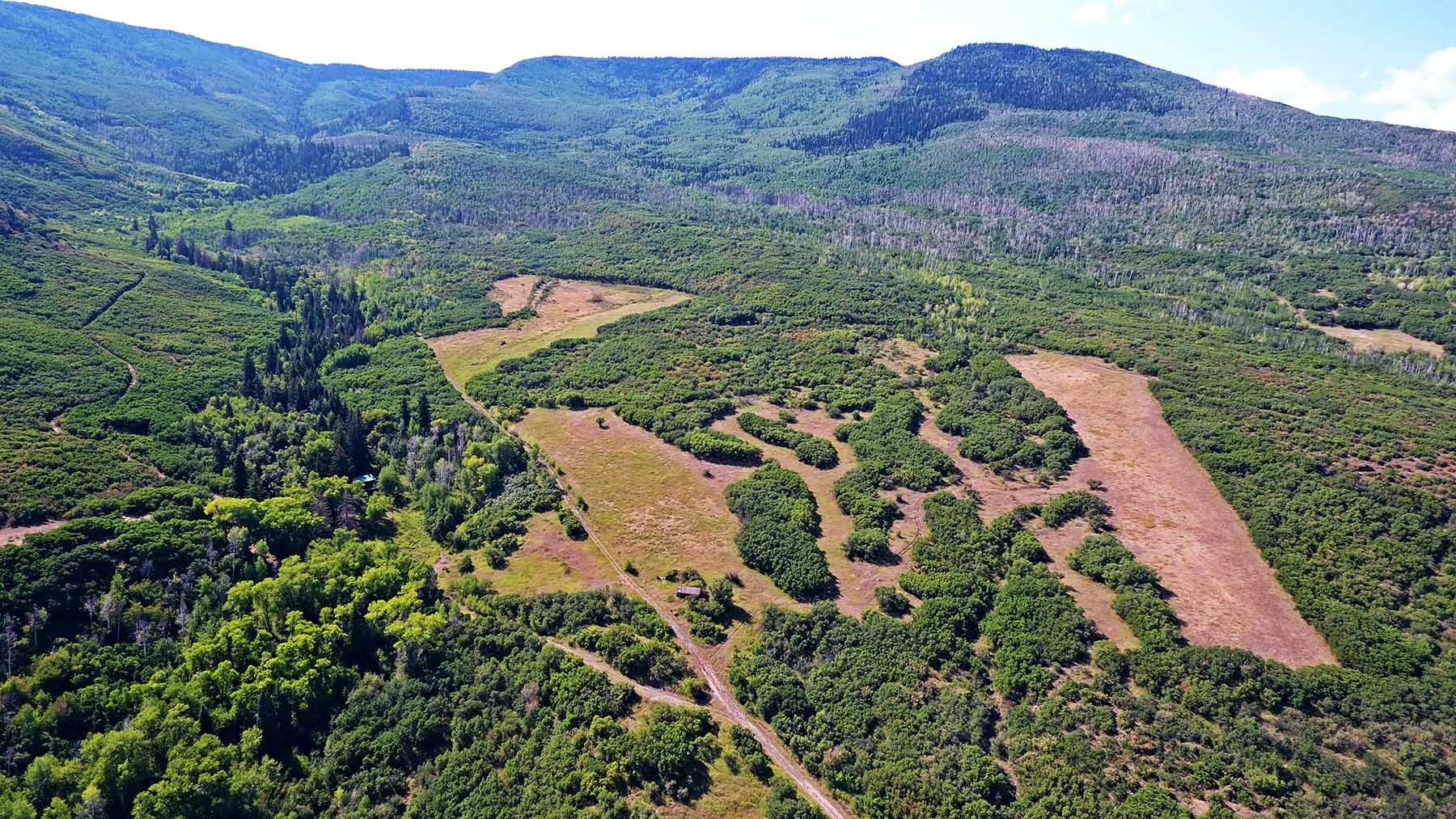 Grove Creek Ranch property picture 29 of 48