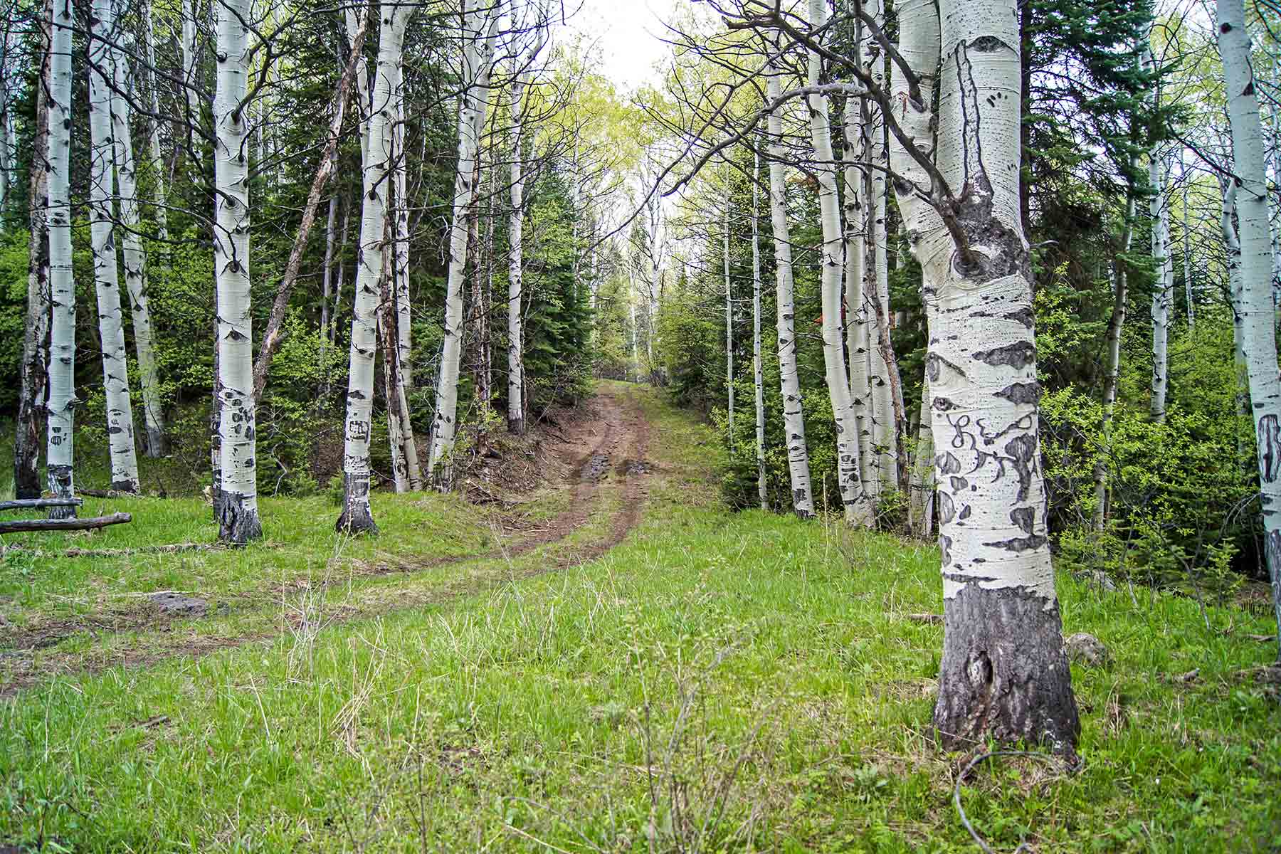 Grove Creek Ranch property picture 12 of 48