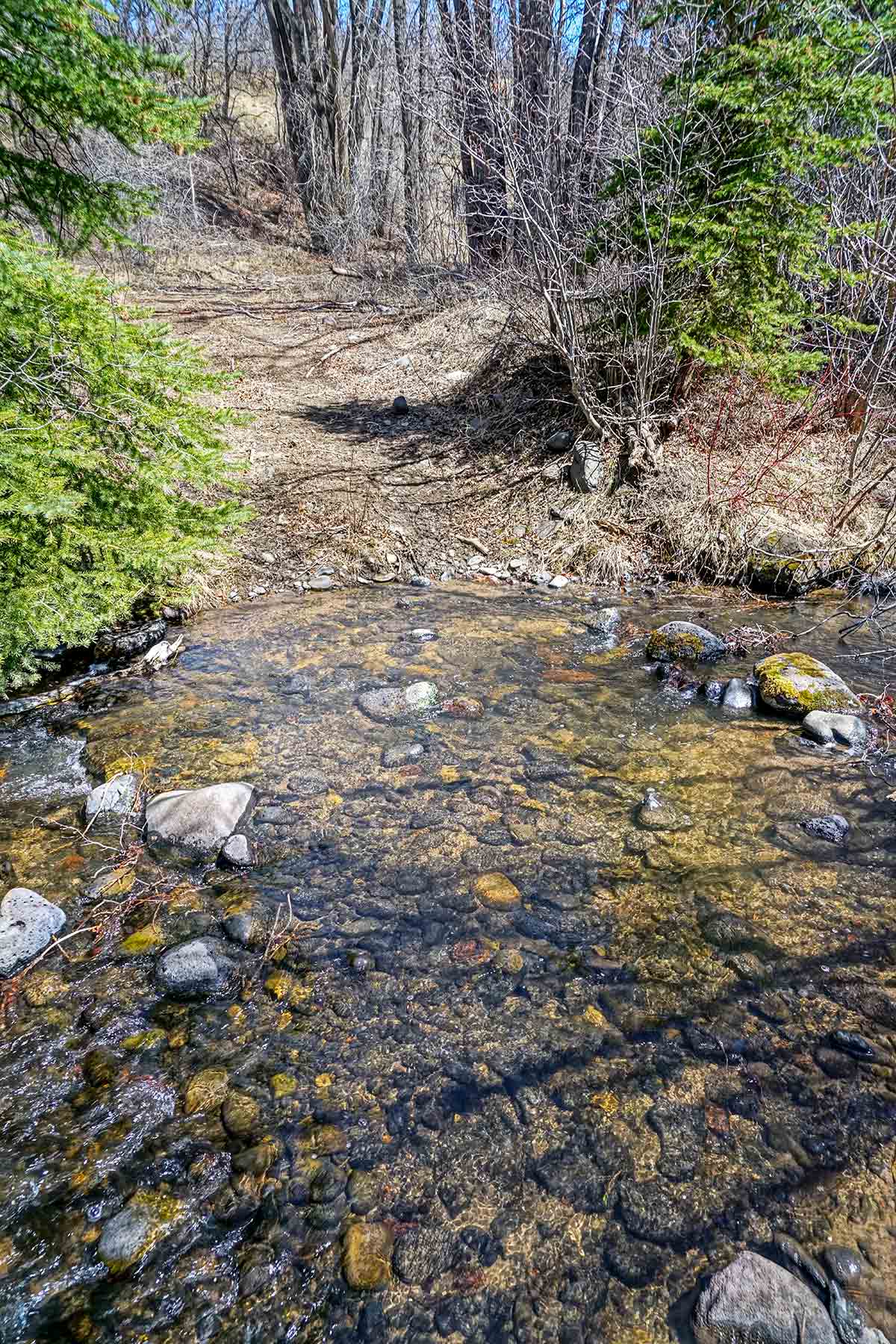 Grove Creek Ranch property picture 31 of 48