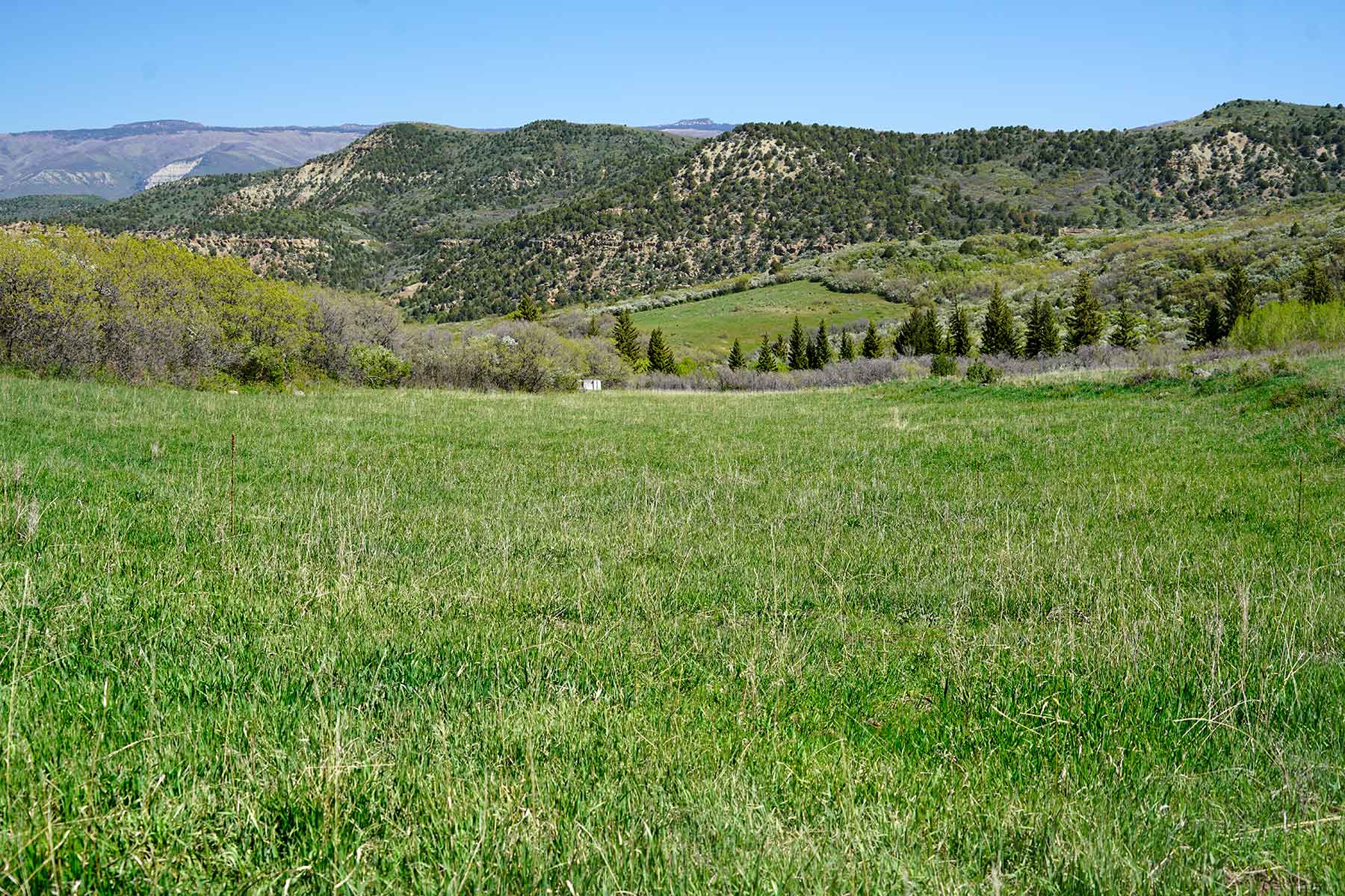 Grove Creek Ranch property picture 39 of 48