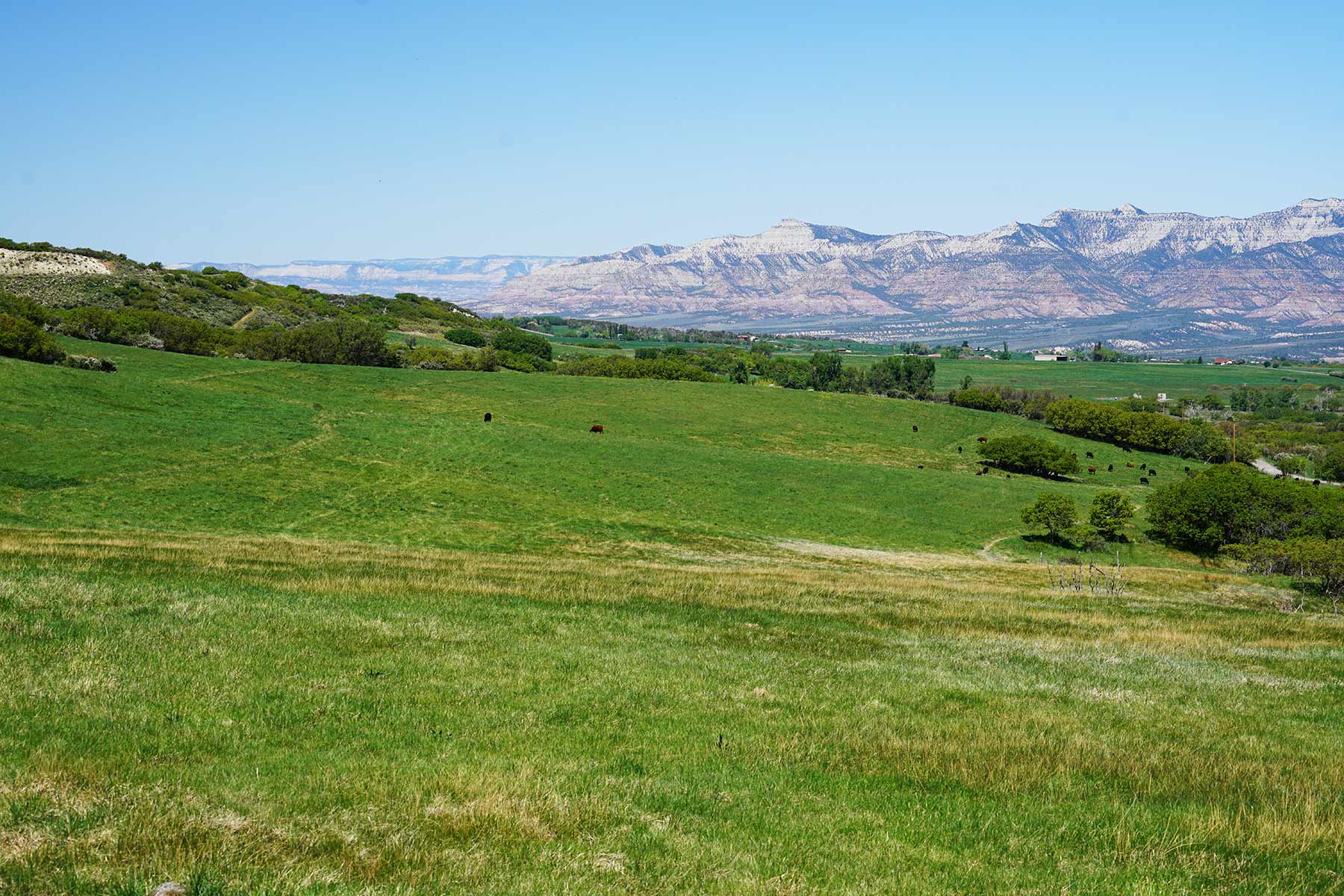 Grove Creek Ranch property picture 17 of 48