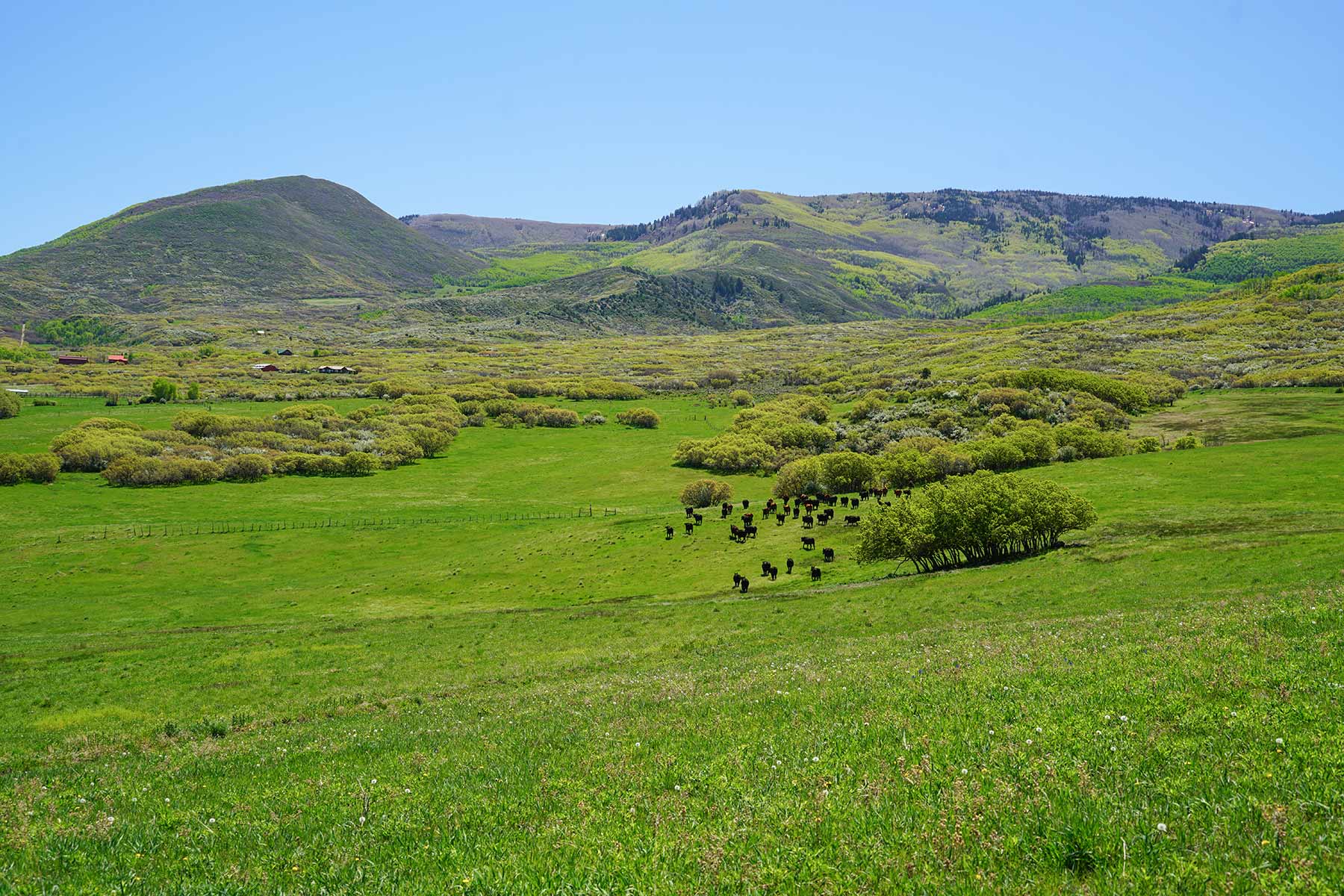 Grove Creek Ranch property picture 35 of 48