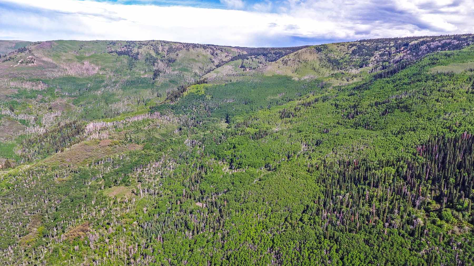 Grove Creek Ranch property picture 37 of 48