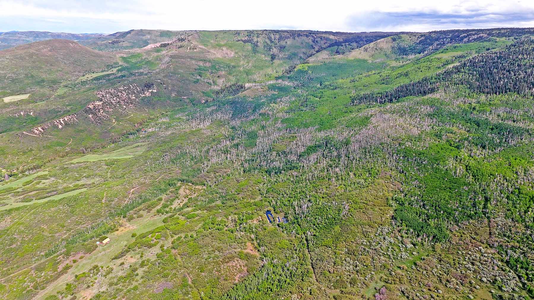 Grove Creek Ranch property picture 40 of 48