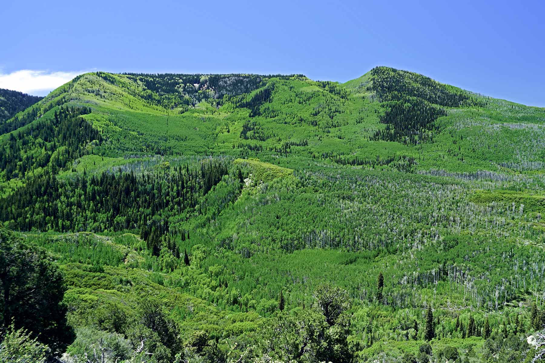 Grove Creek Ranch property picture 38 of 48