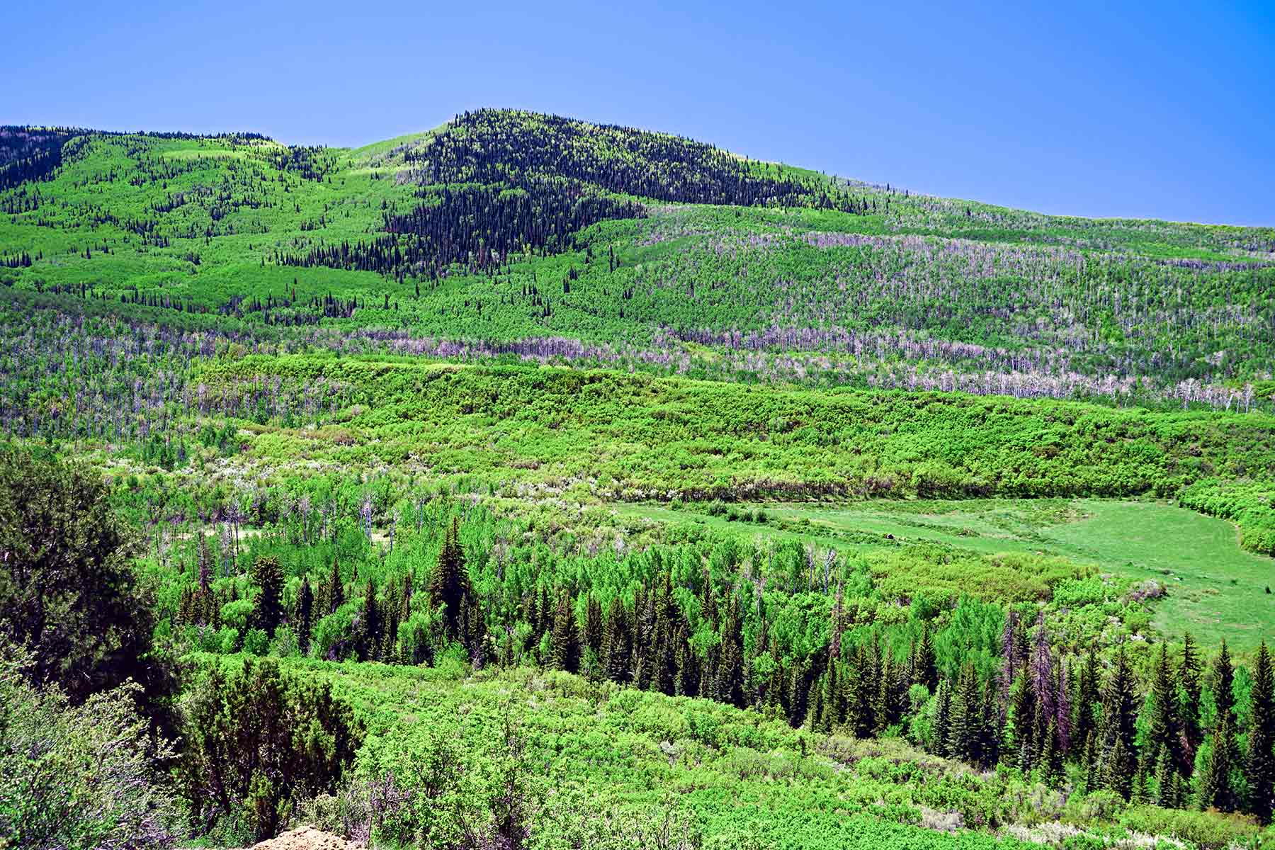 Grove Creek Ranch property picture 34 of 48