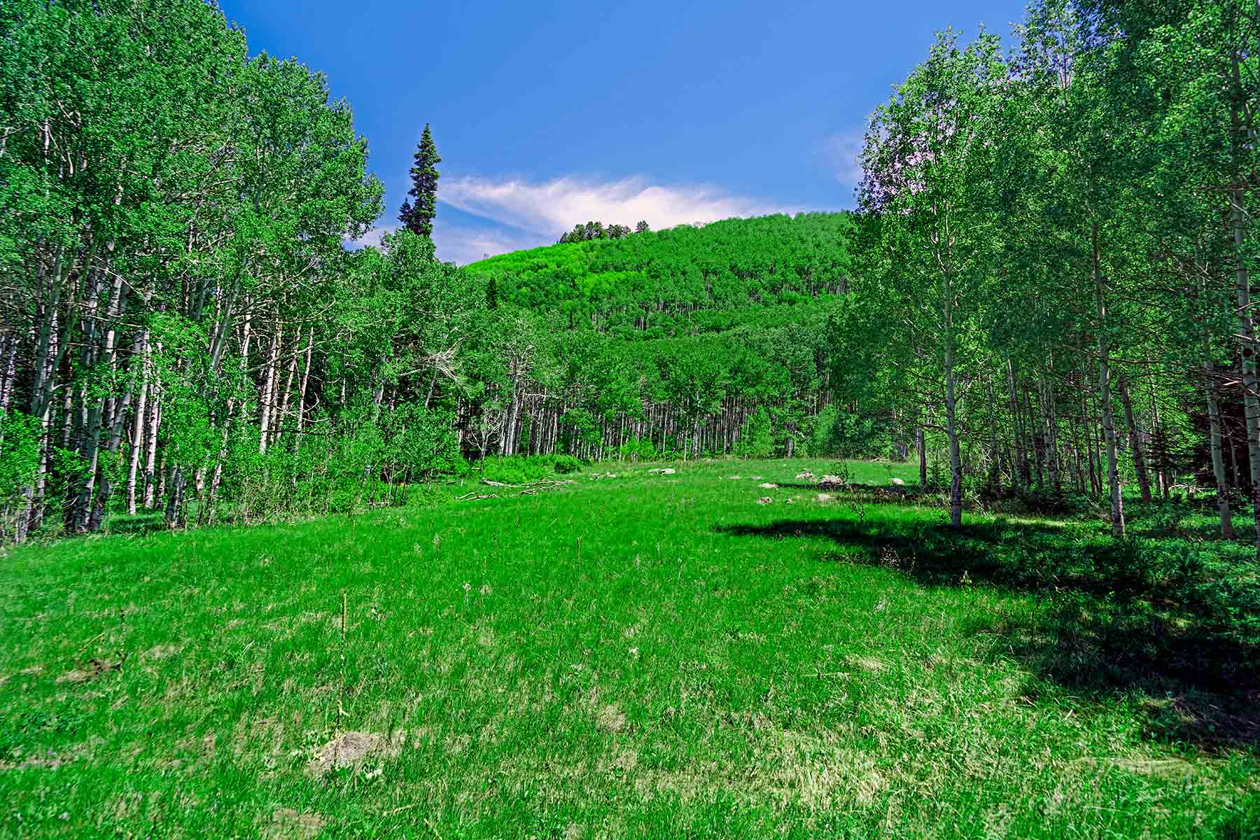 Grove Creek Ranch property picture 18 of 48