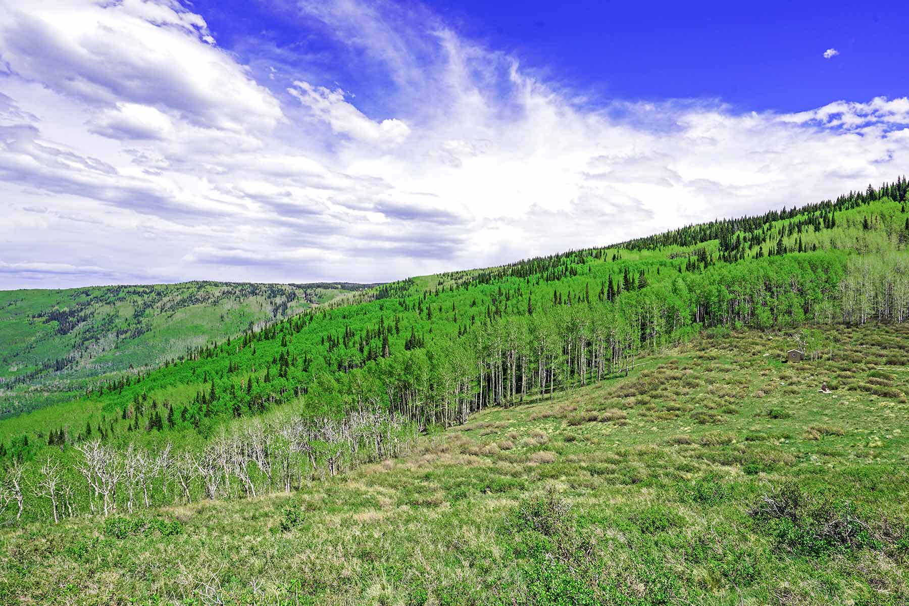 Grove Creek Ranch property picture 32 of 48