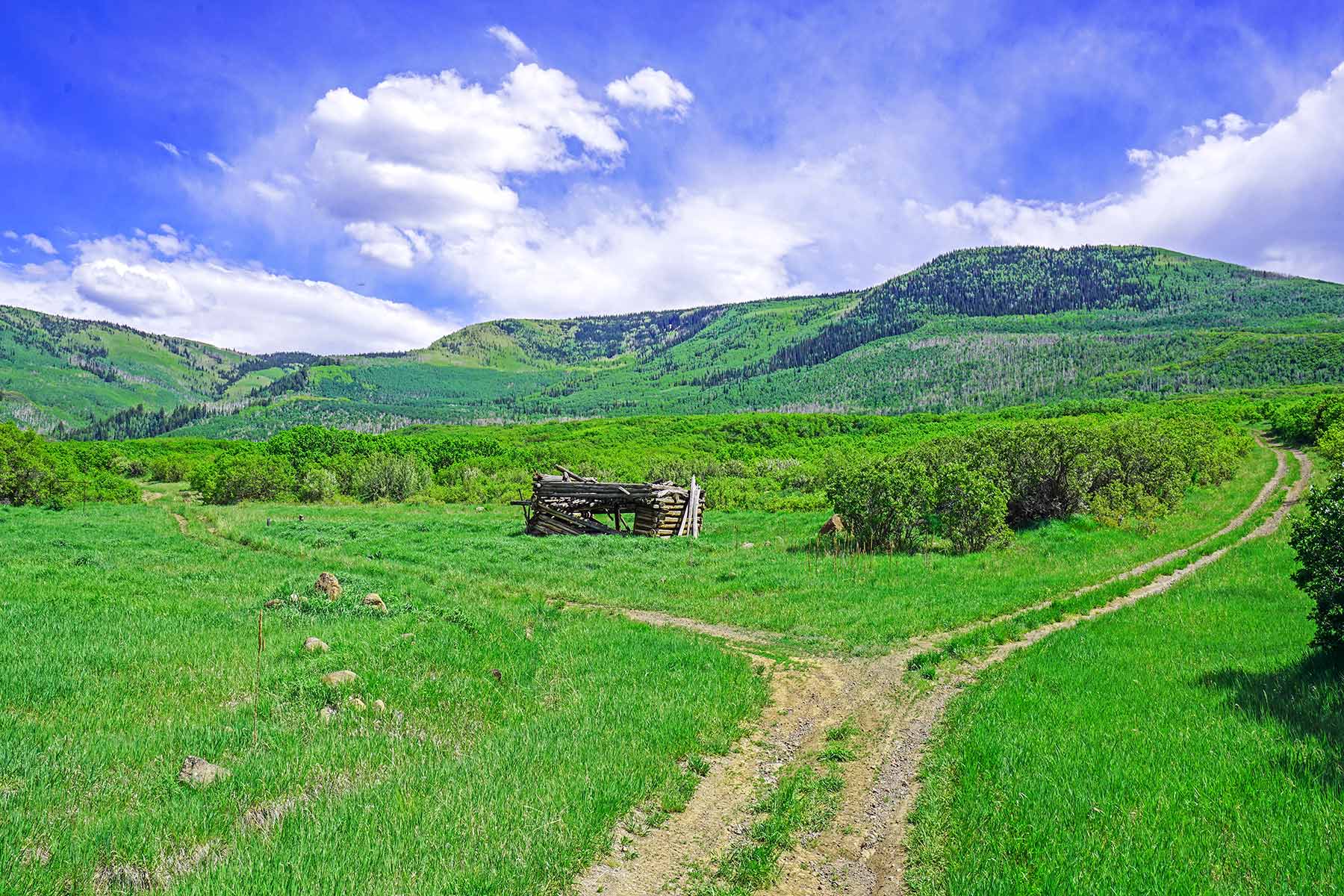 Grove Creek Ranch property picture 20 of 48