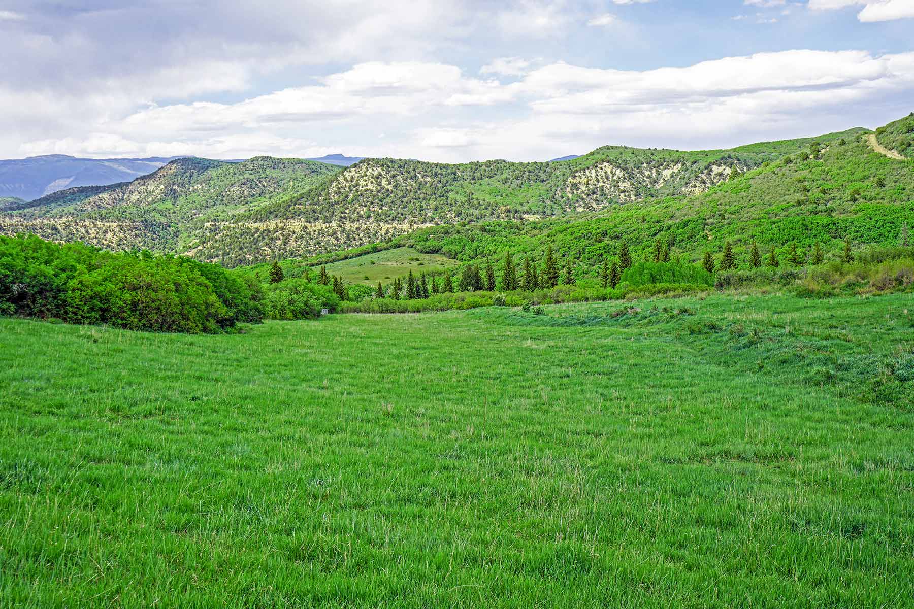 Grove Creek Ranch property picture 21 of 48