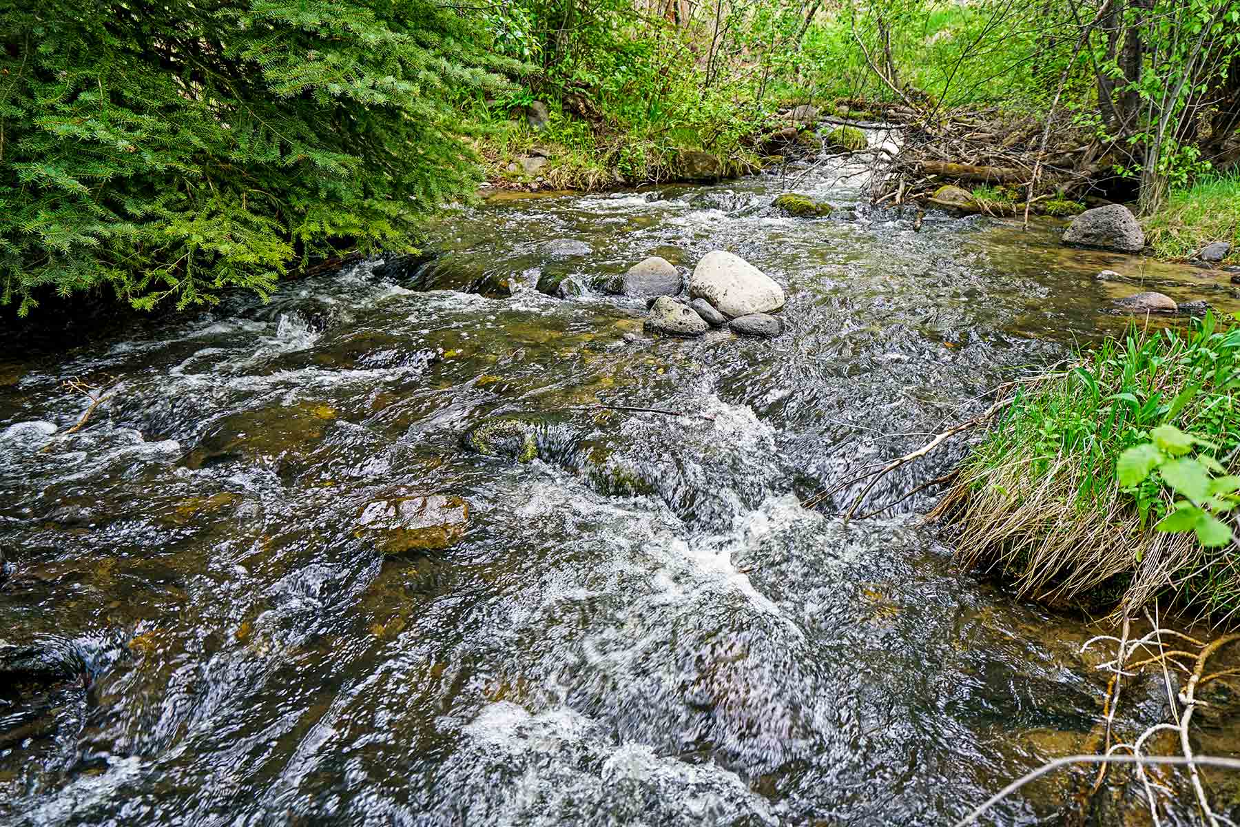 Grove Creek Ranch property picture 10 of 48