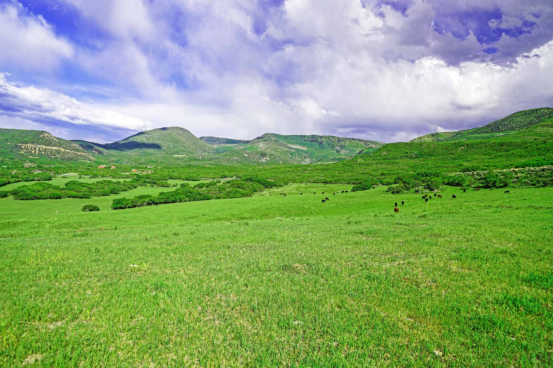 Grove Creek Ranch property picture 16 of 48