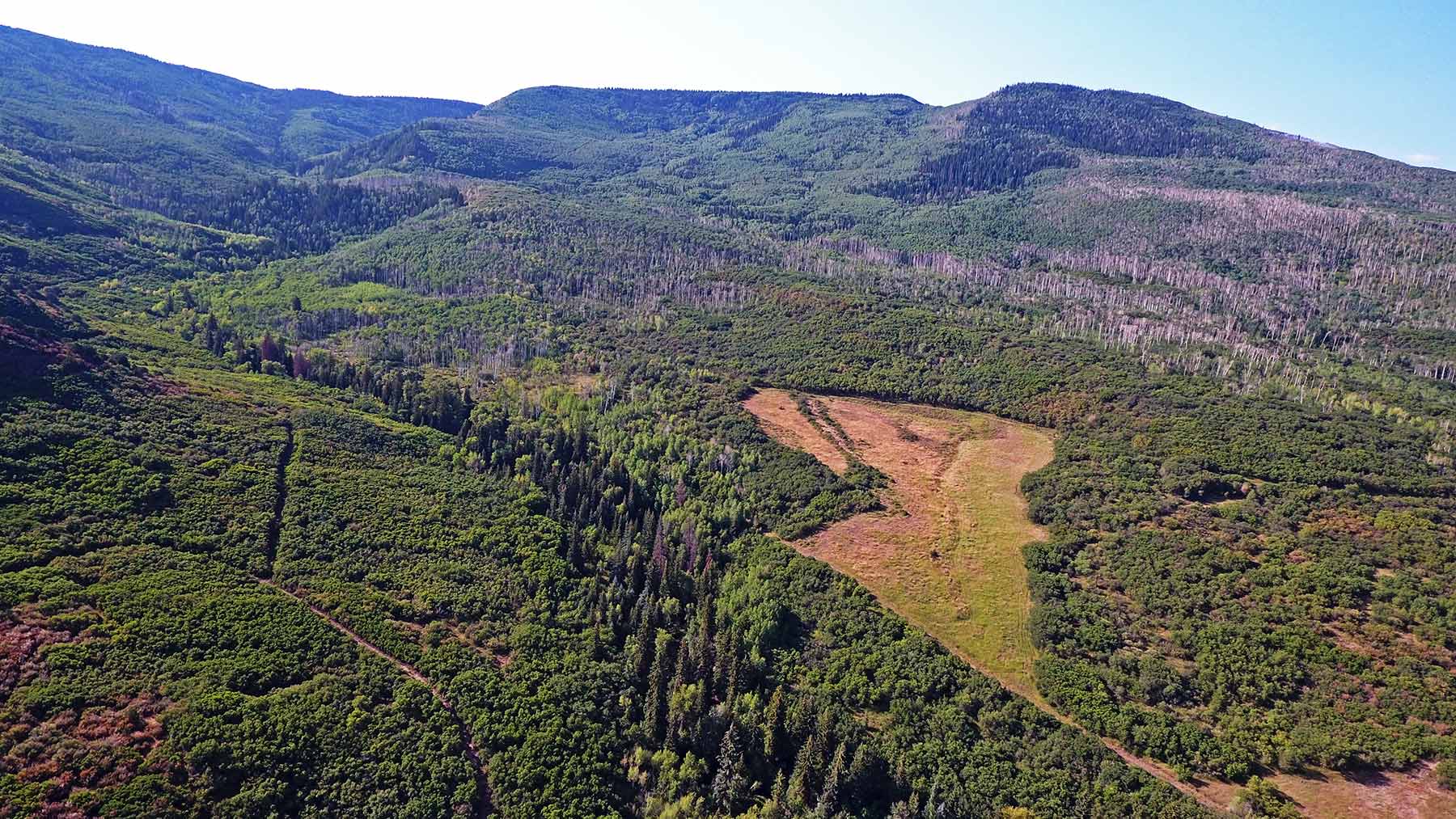 Grove Creek Ranch property picture 26 of 48