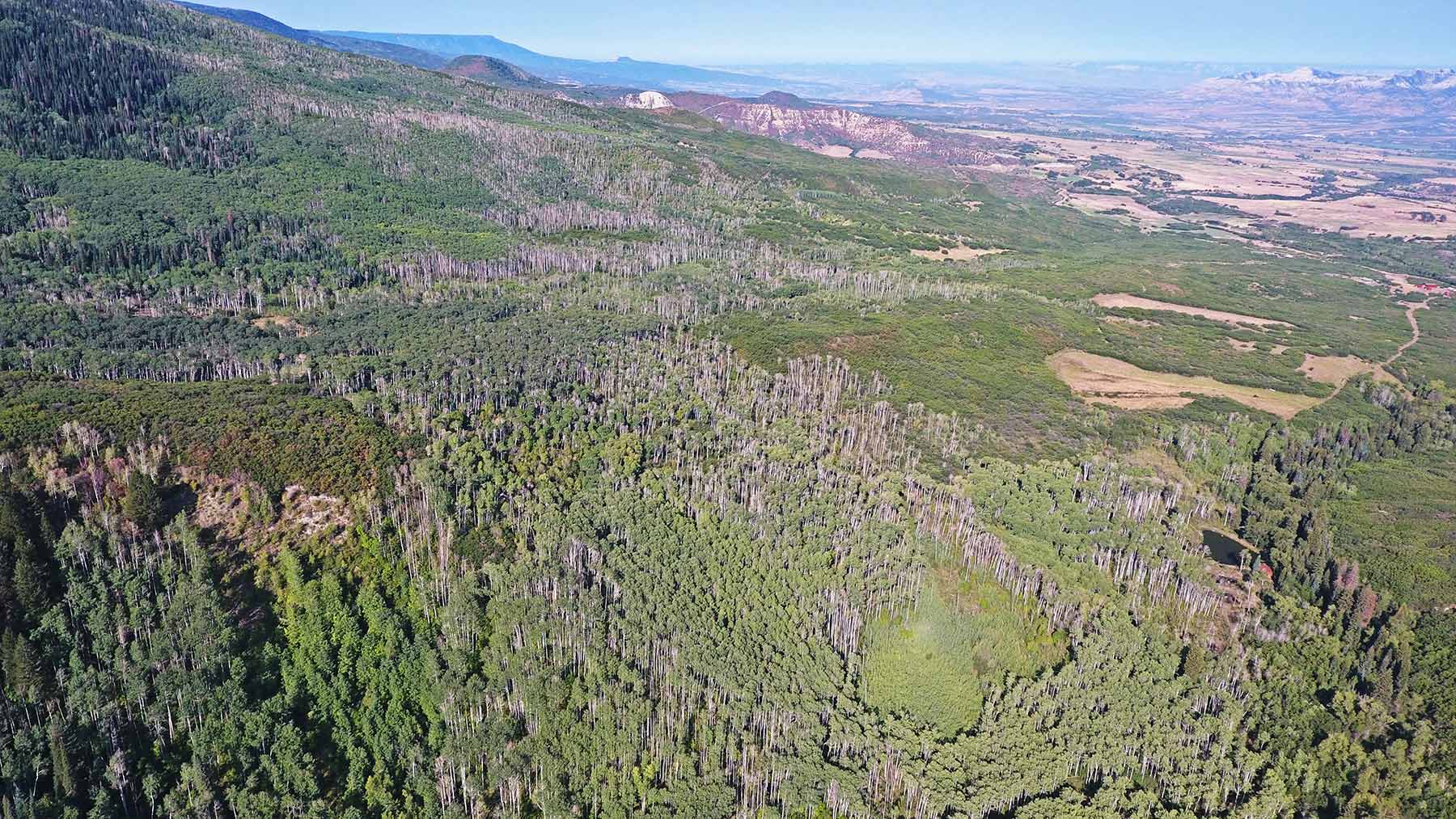 Grove Creek Ranch property picture 27 of 48