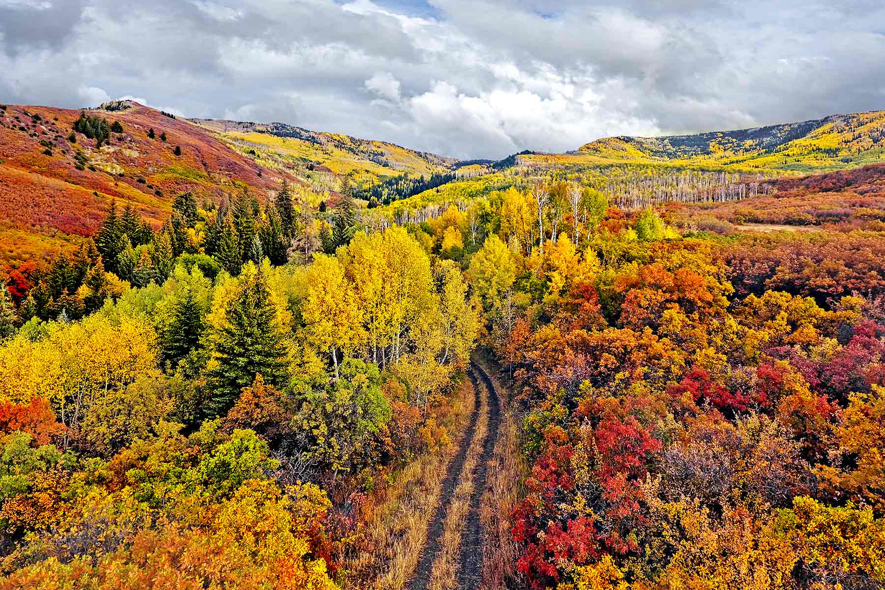 Grove Creek Ranch property picture 3 of 48