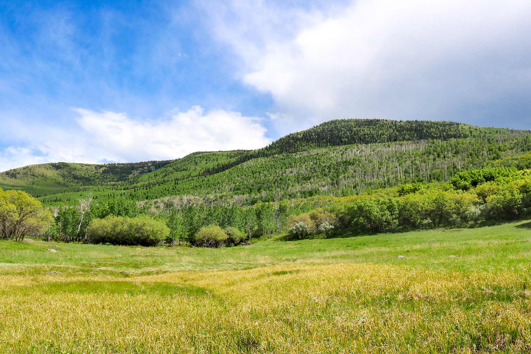 Grove Creek Ranch property picture 44 of 48