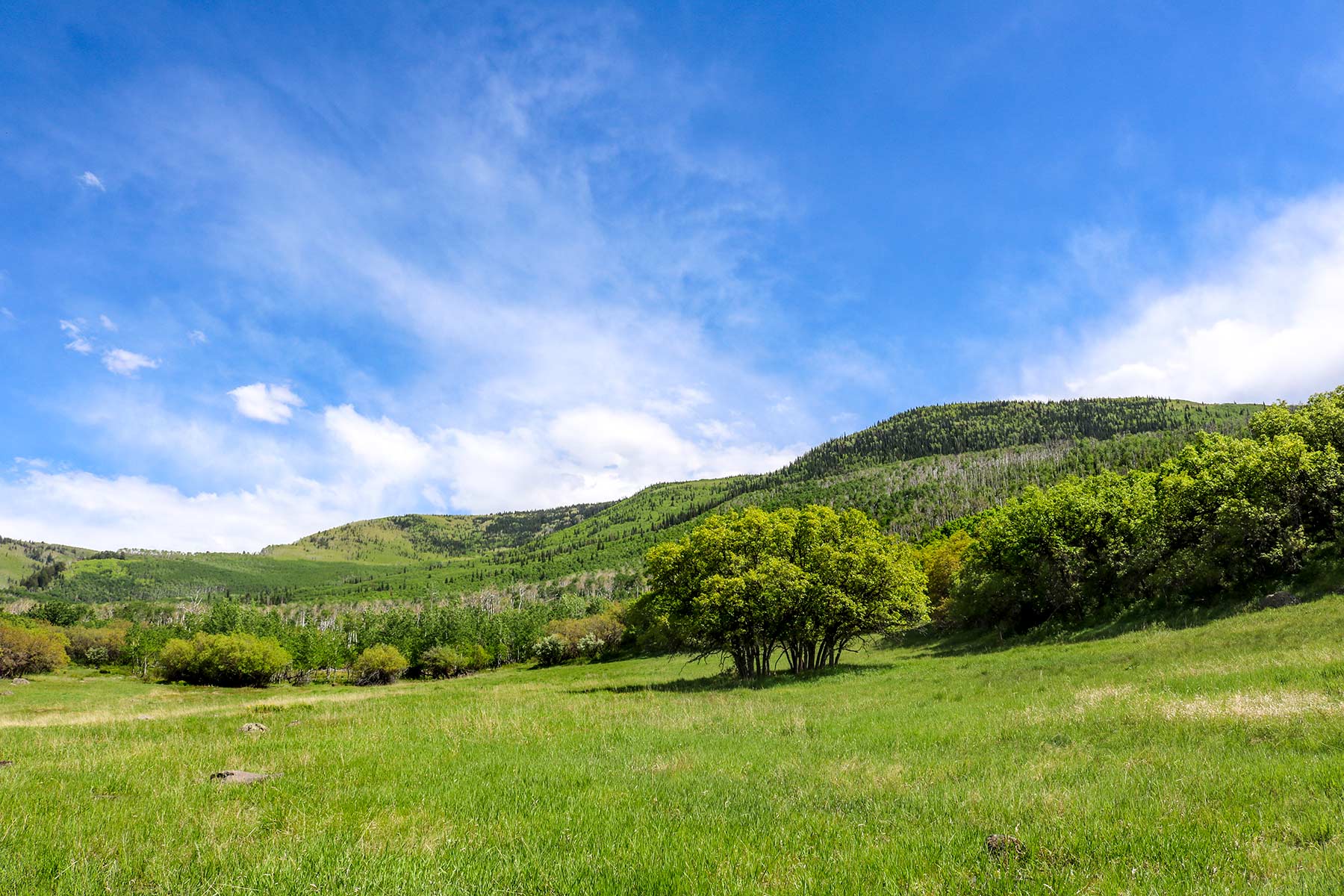 Grove Creek Ranch property picture 47 of 48