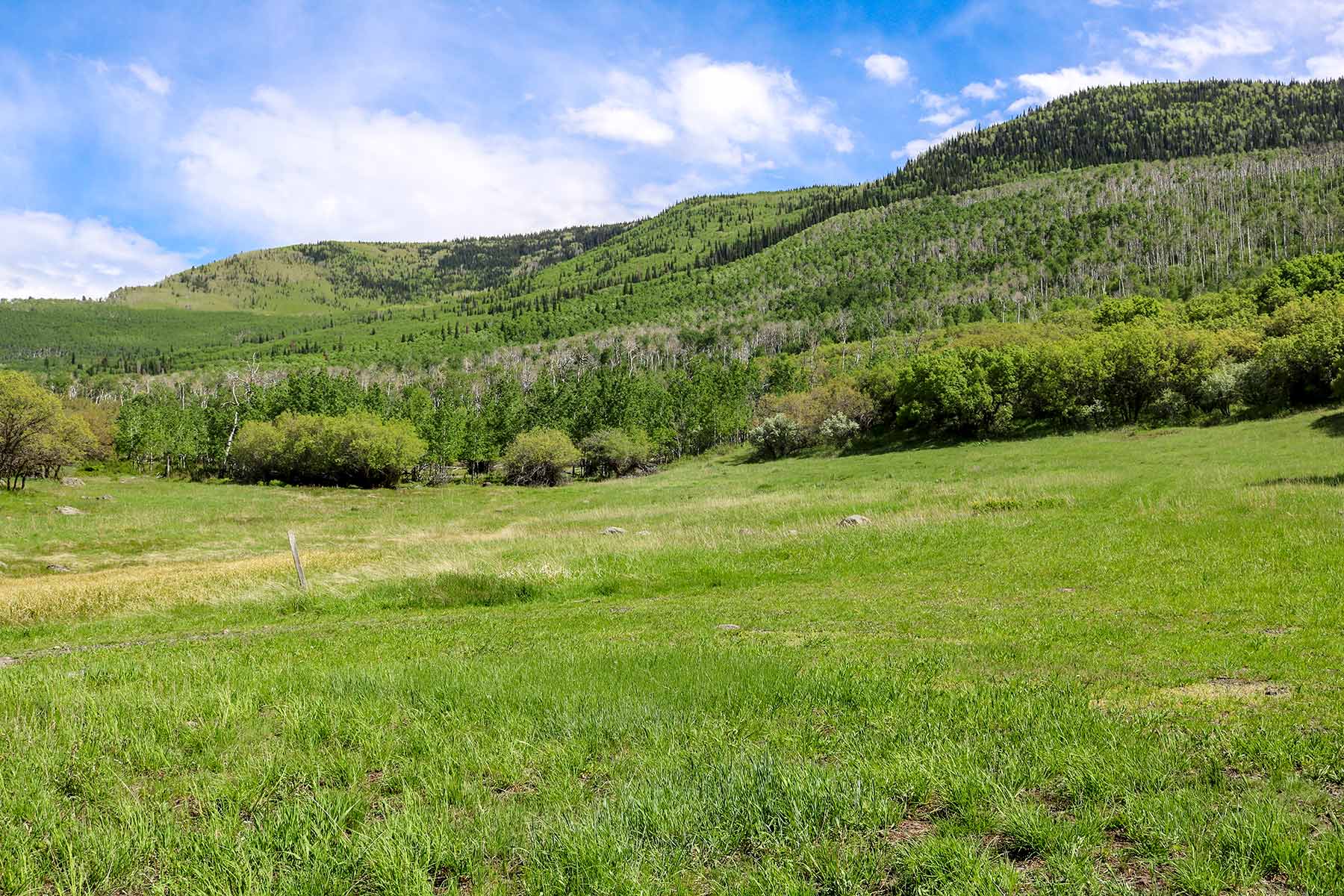 Grove Creek Ranch property picture 48 of 48