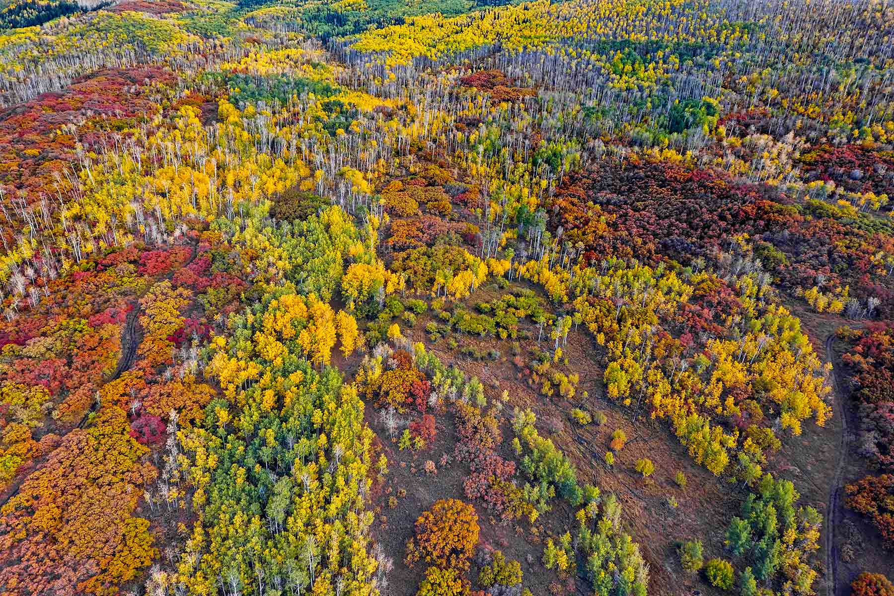 Grove Creek Ranch property picture 8 of 48