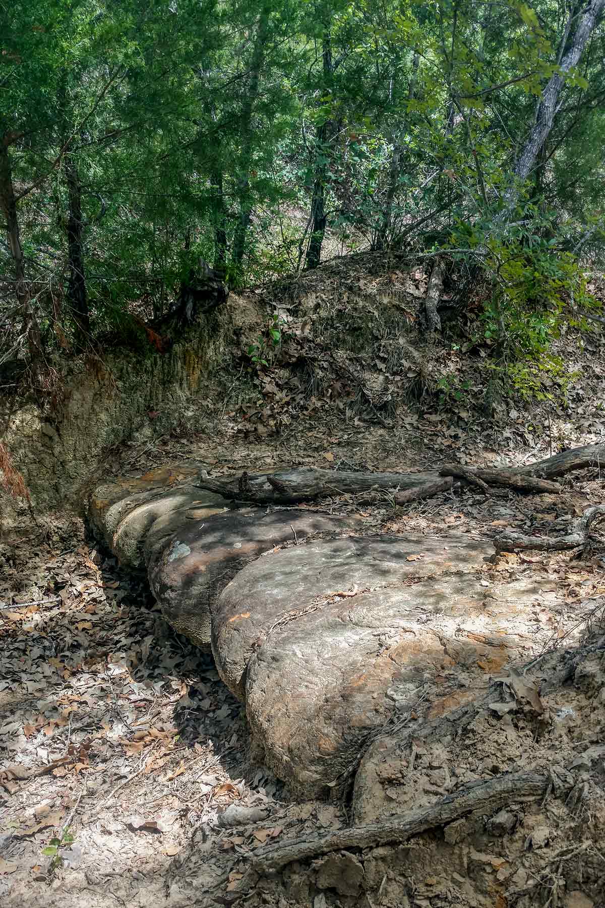 McCrary Ranch property picture 53 of 56