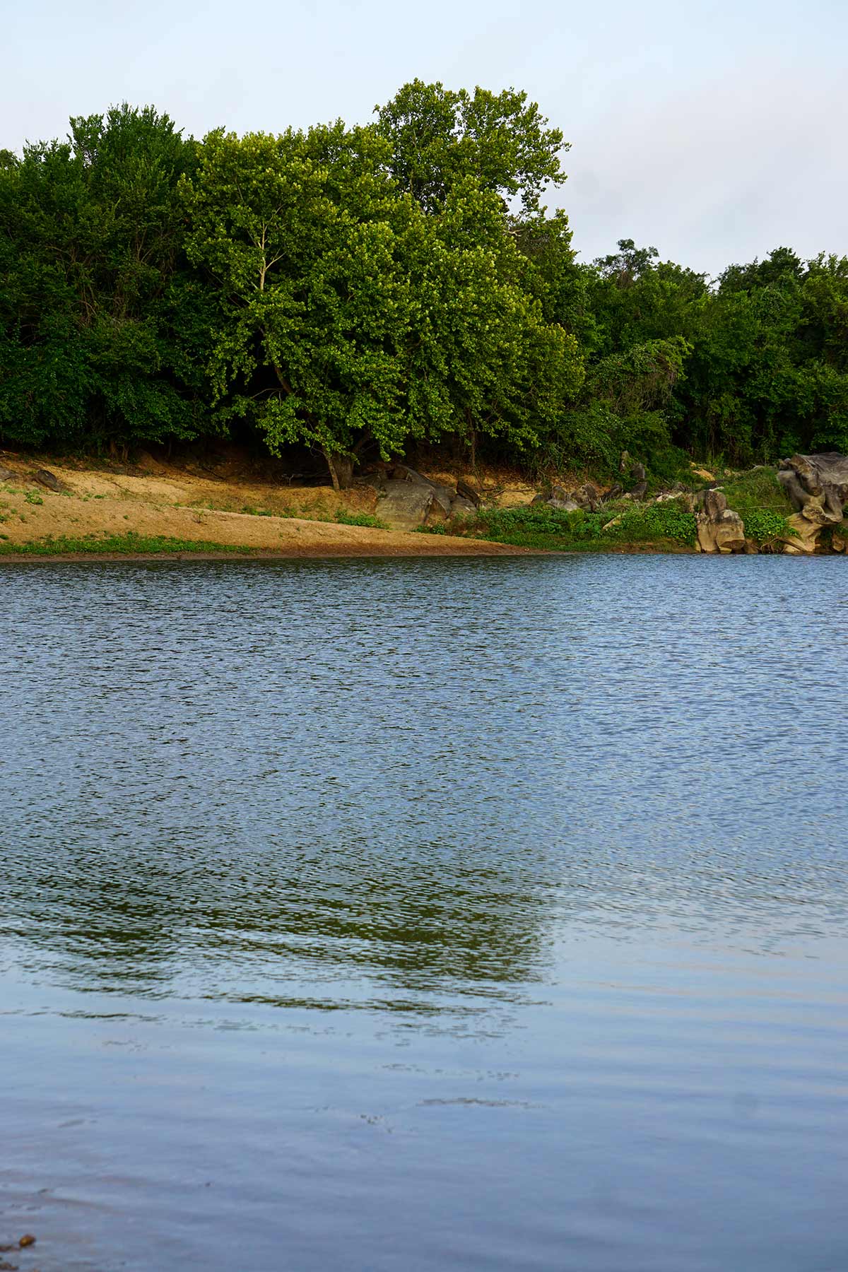 McCrary Ranch property picture 31 of 56