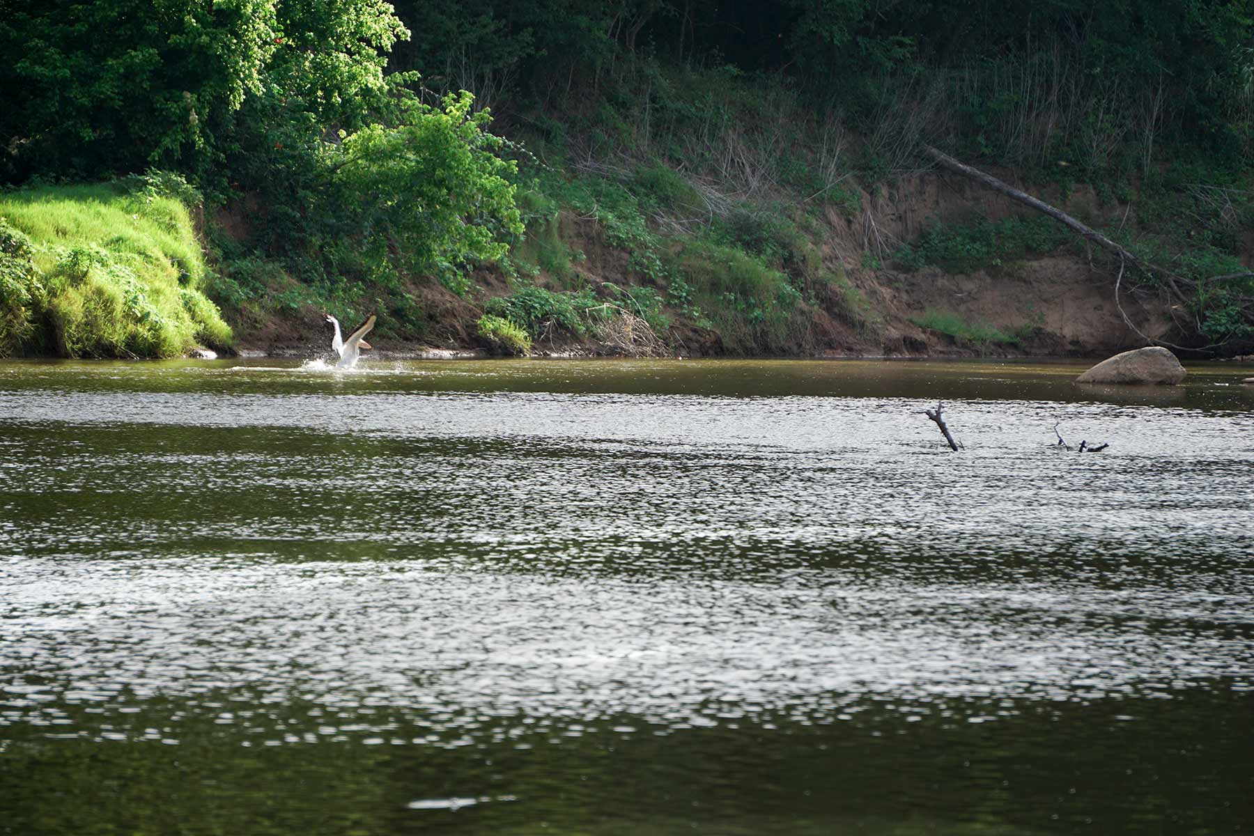 McCrary Ranch property picture 47 of 56