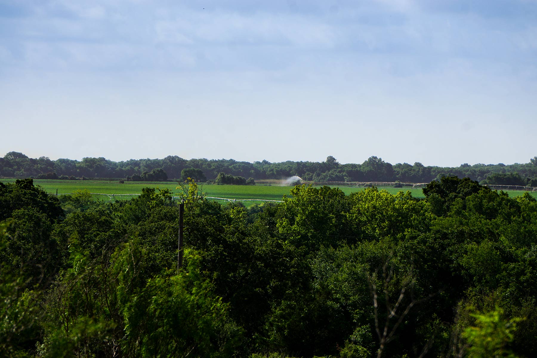 McCrary Ranch property picture 49 of 56