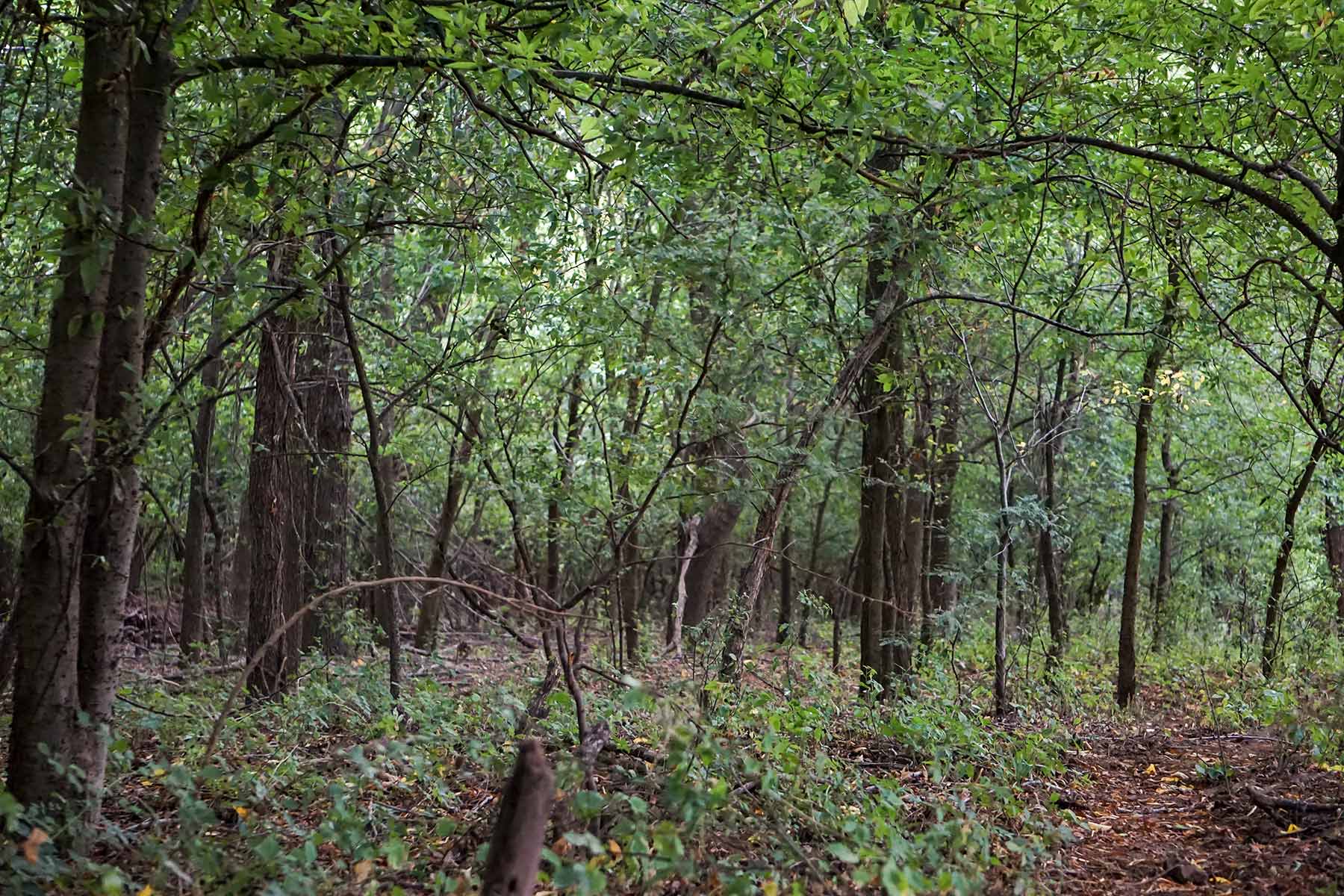 McCrary Ranch property picture 27 of 56