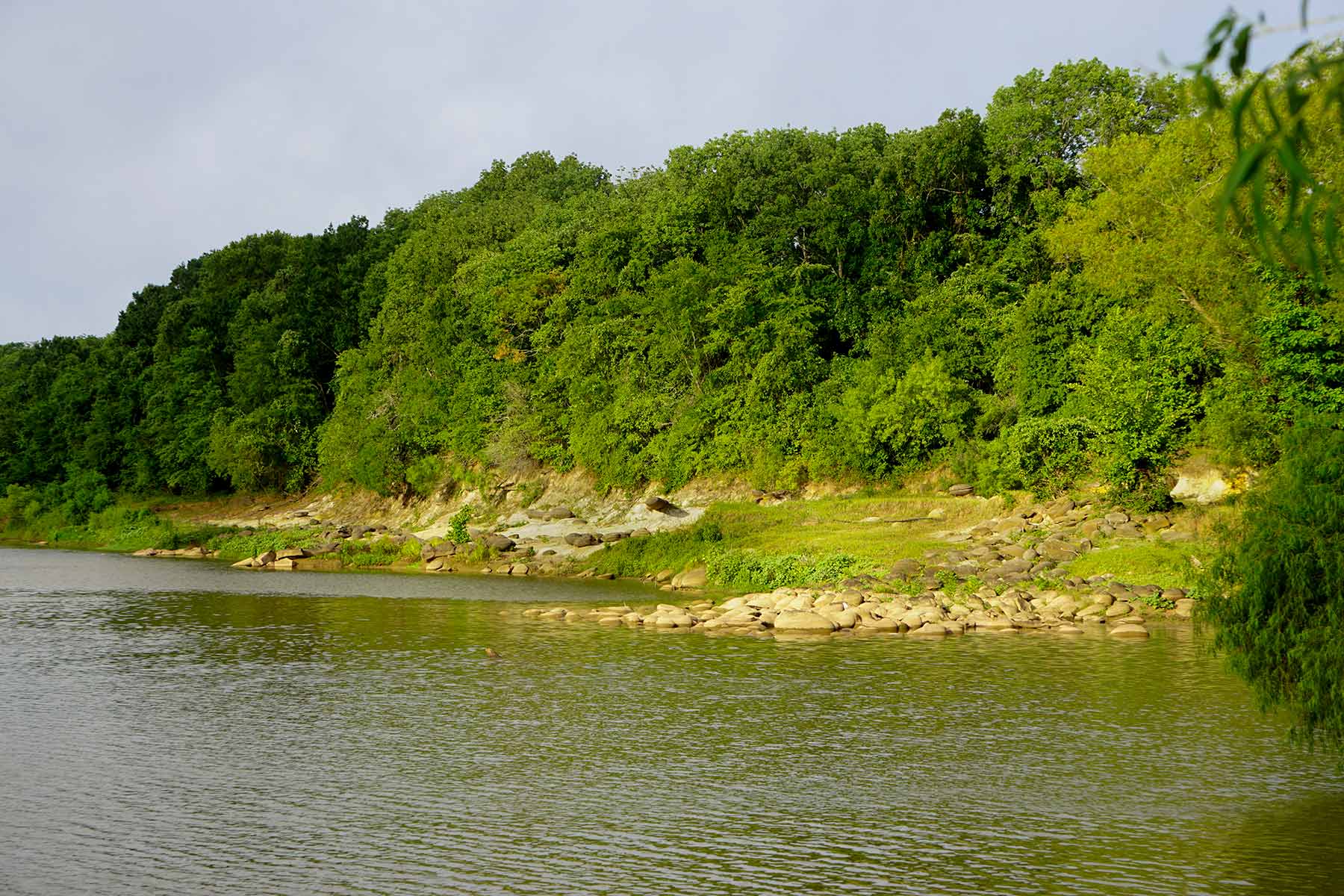 McCrary Ranch property picture 40 of 56