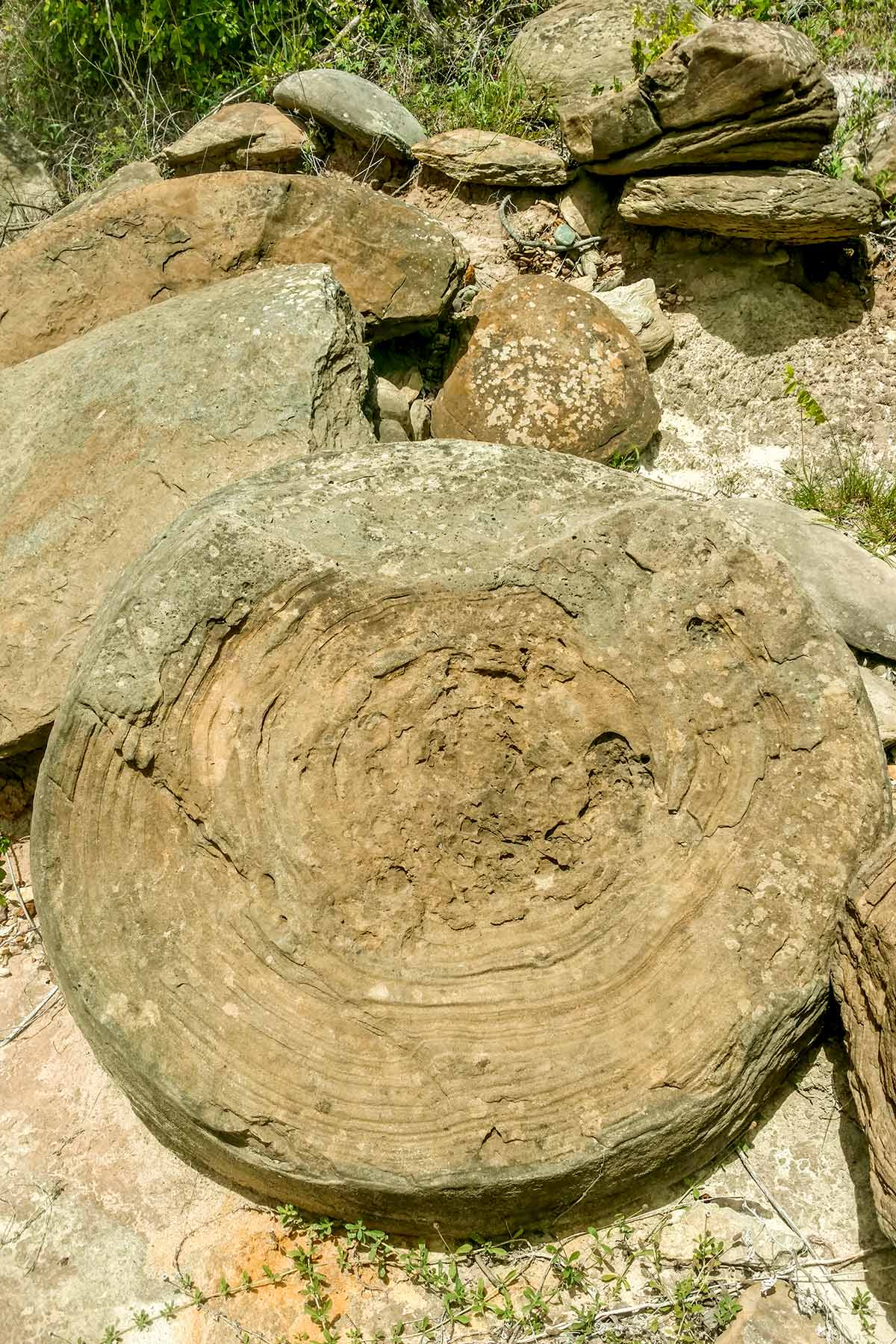 McCrary Ranch property picture 54 of 56