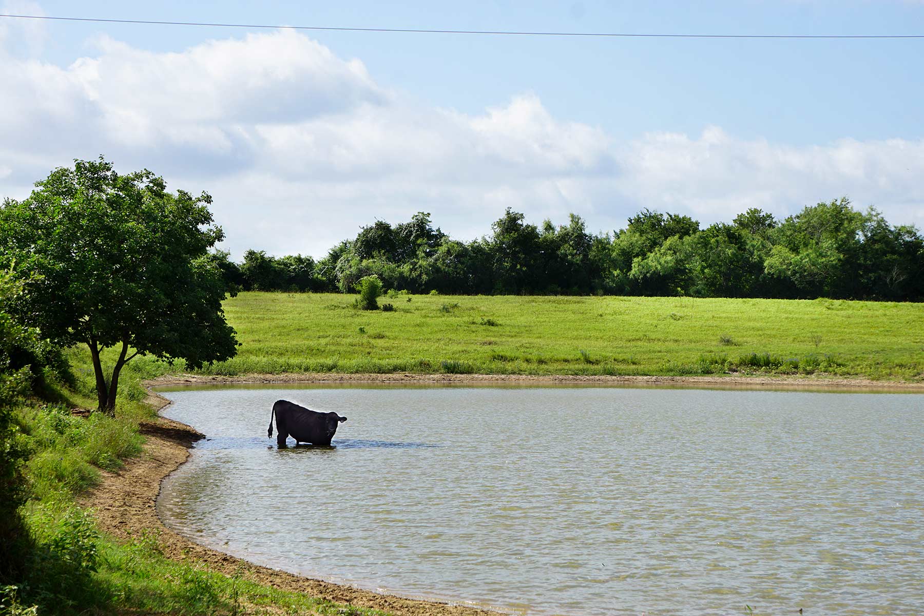 McCrary Ranch property picture 28 of 56