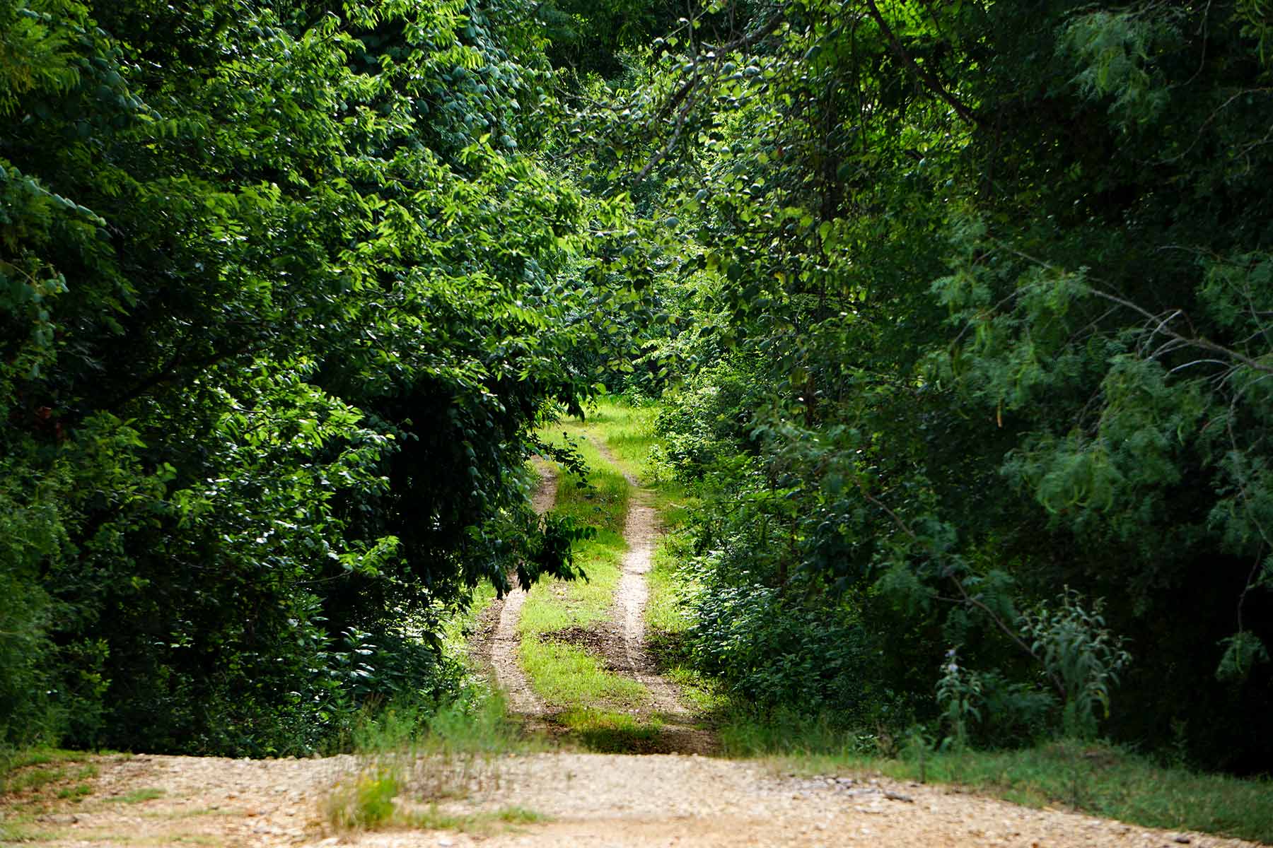 McCrary Ranch property picture 22 of 56