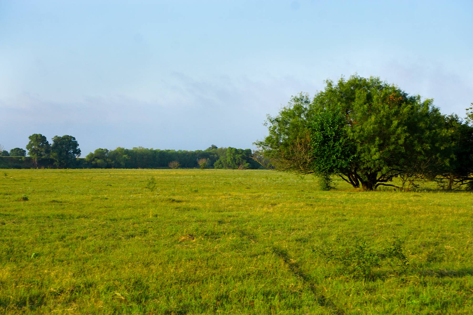 McCrary Ranch property picture 8 of 56