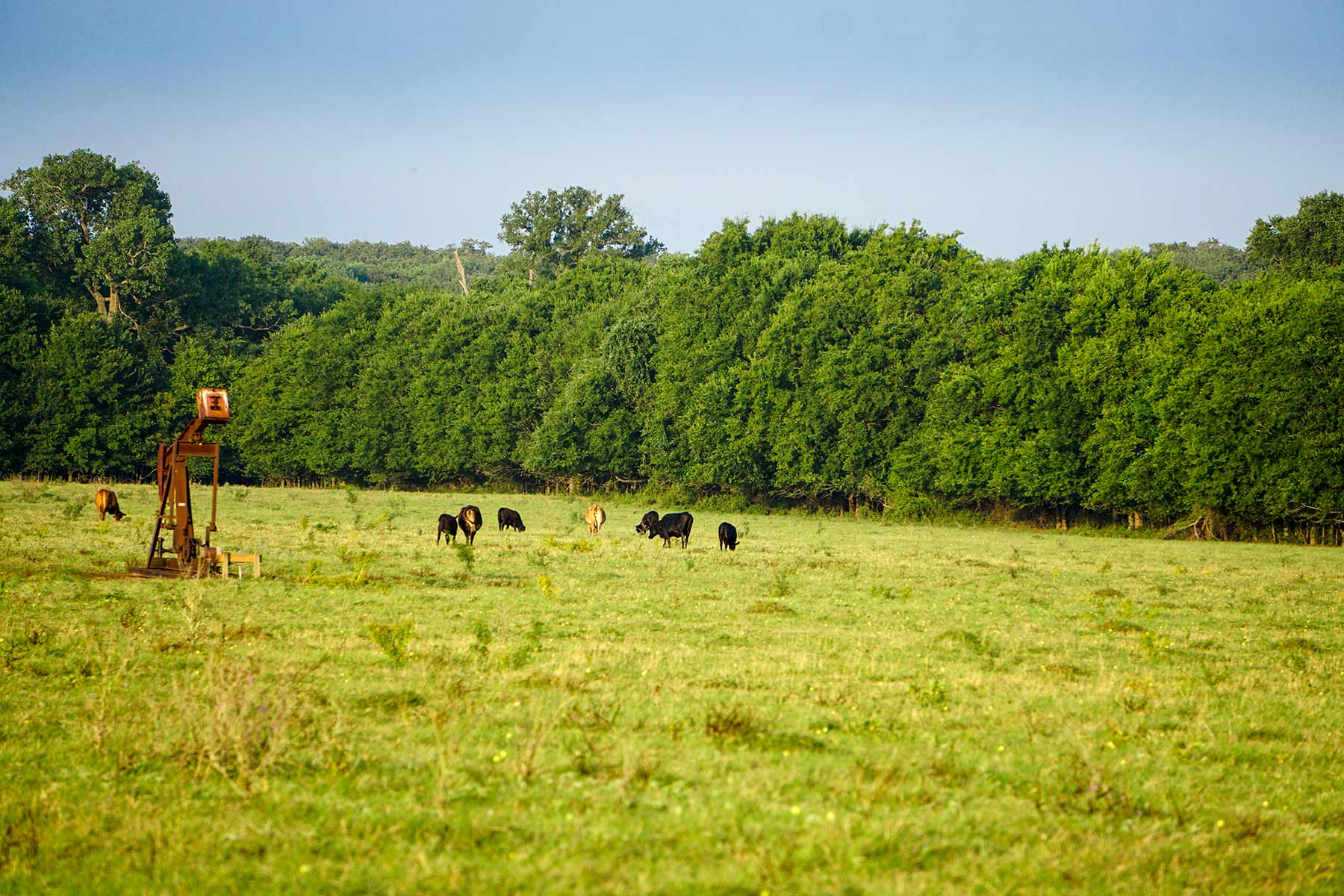 McCrary Ranch property picture 13 of 56
