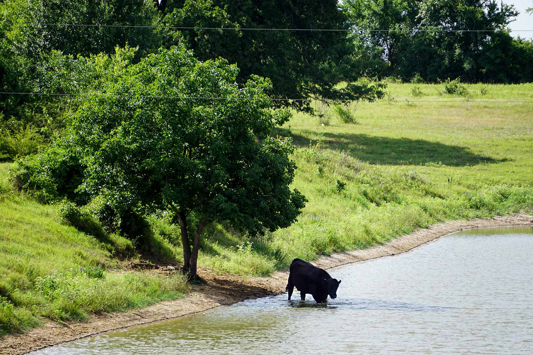 McCrary Ranch property picture 16 of 56
