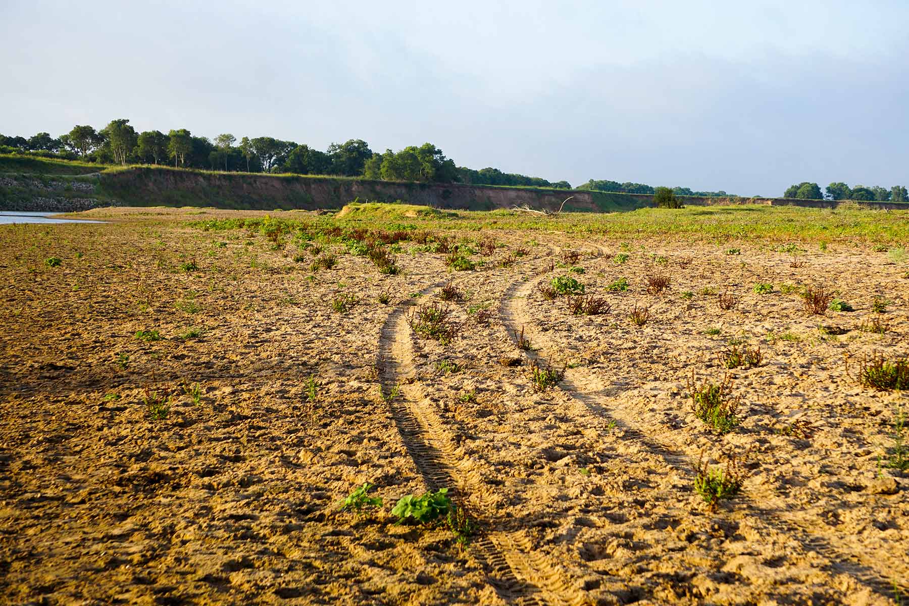 McCrary Ranch property picture 20 of 56