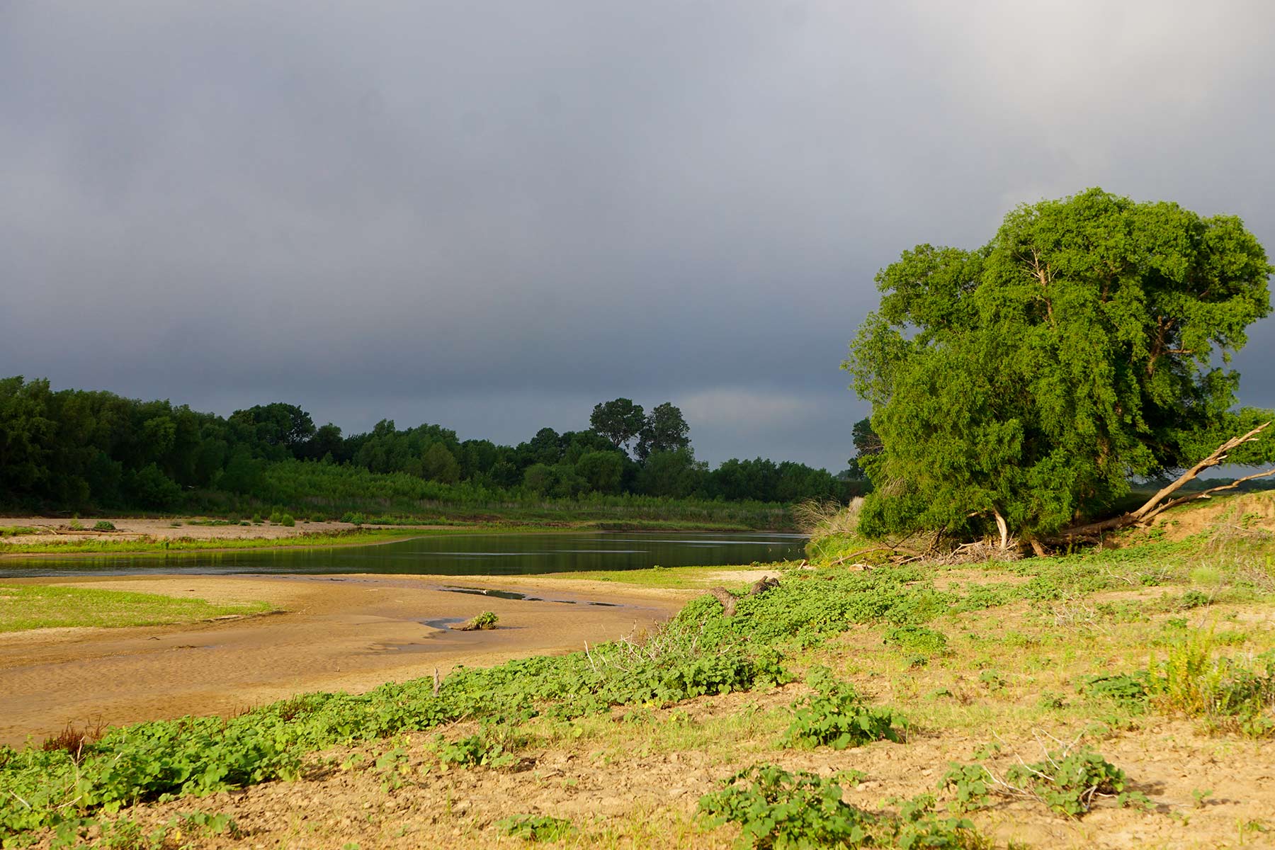 McCrary Ranch property picture 30 of 56