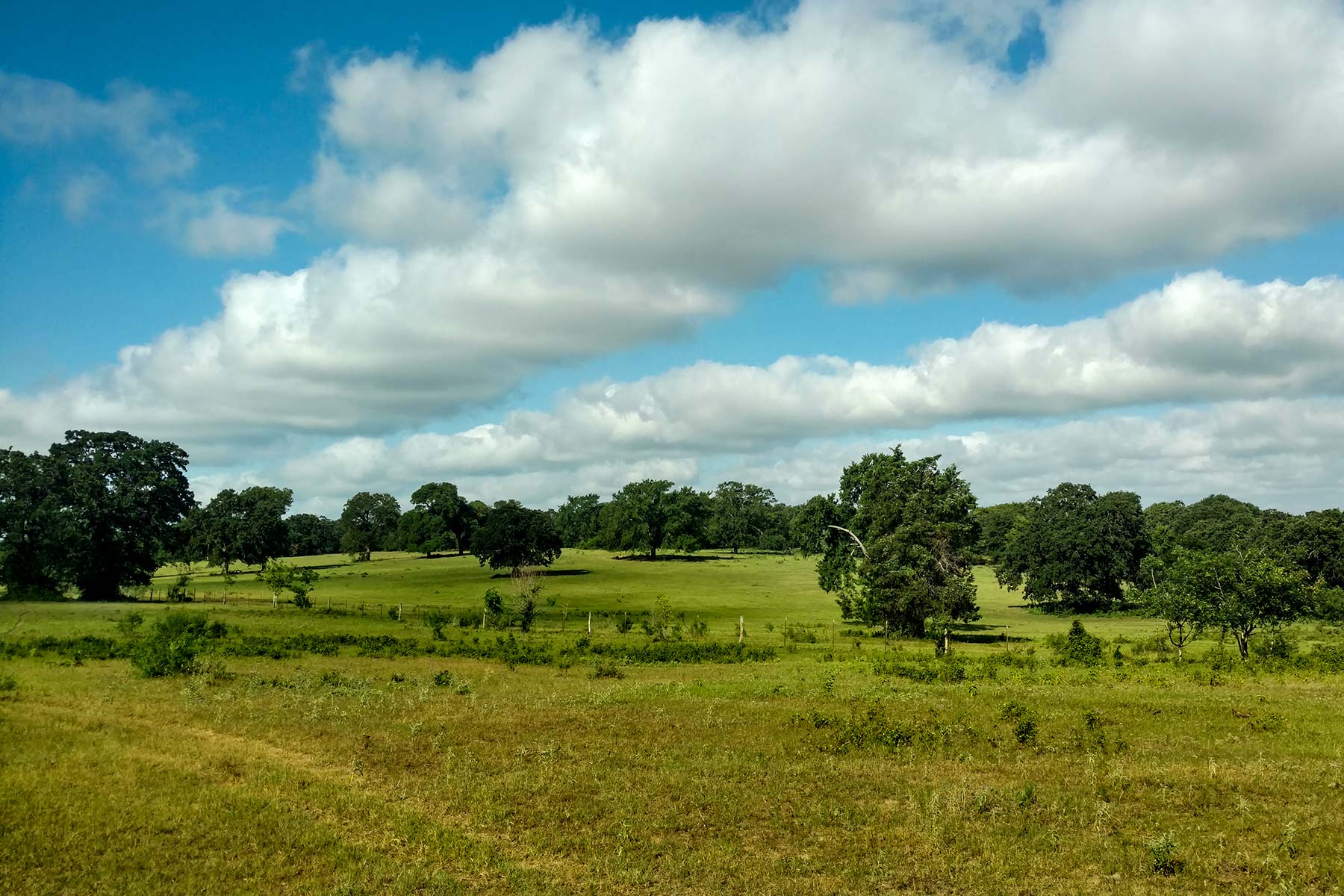 McCrary Ranch property picture 3 of 56