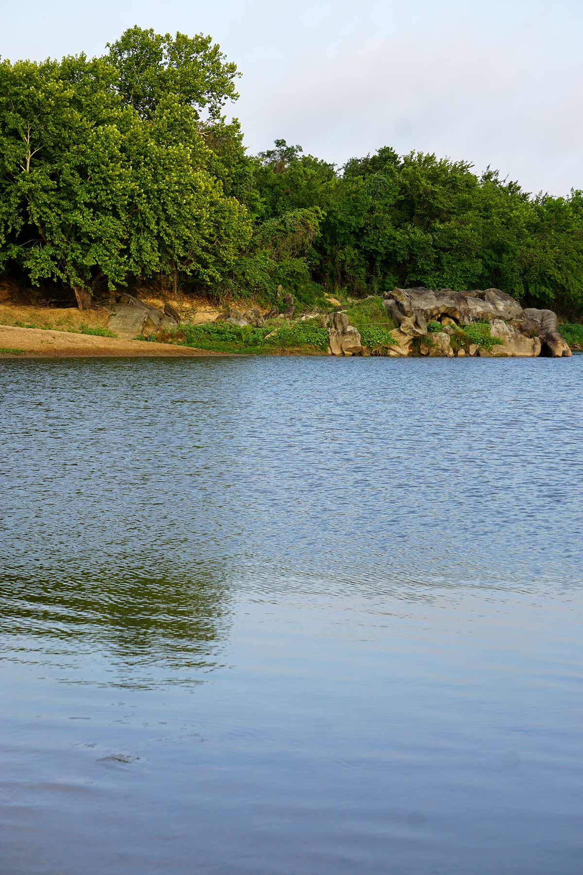 McCrary Ranch property picture 24 of 56