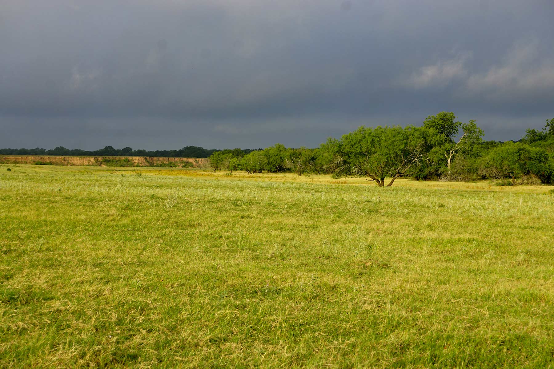 McCrary Ranch property picture 25 of 56