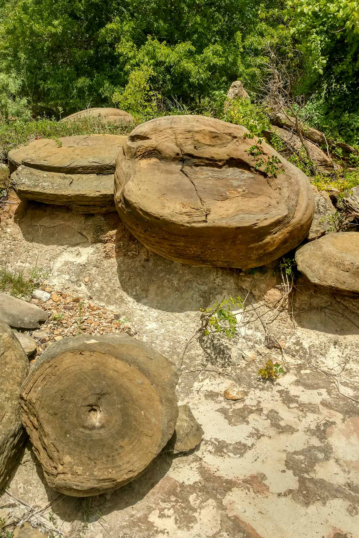 McCrary Ranch property picture 55 of 56